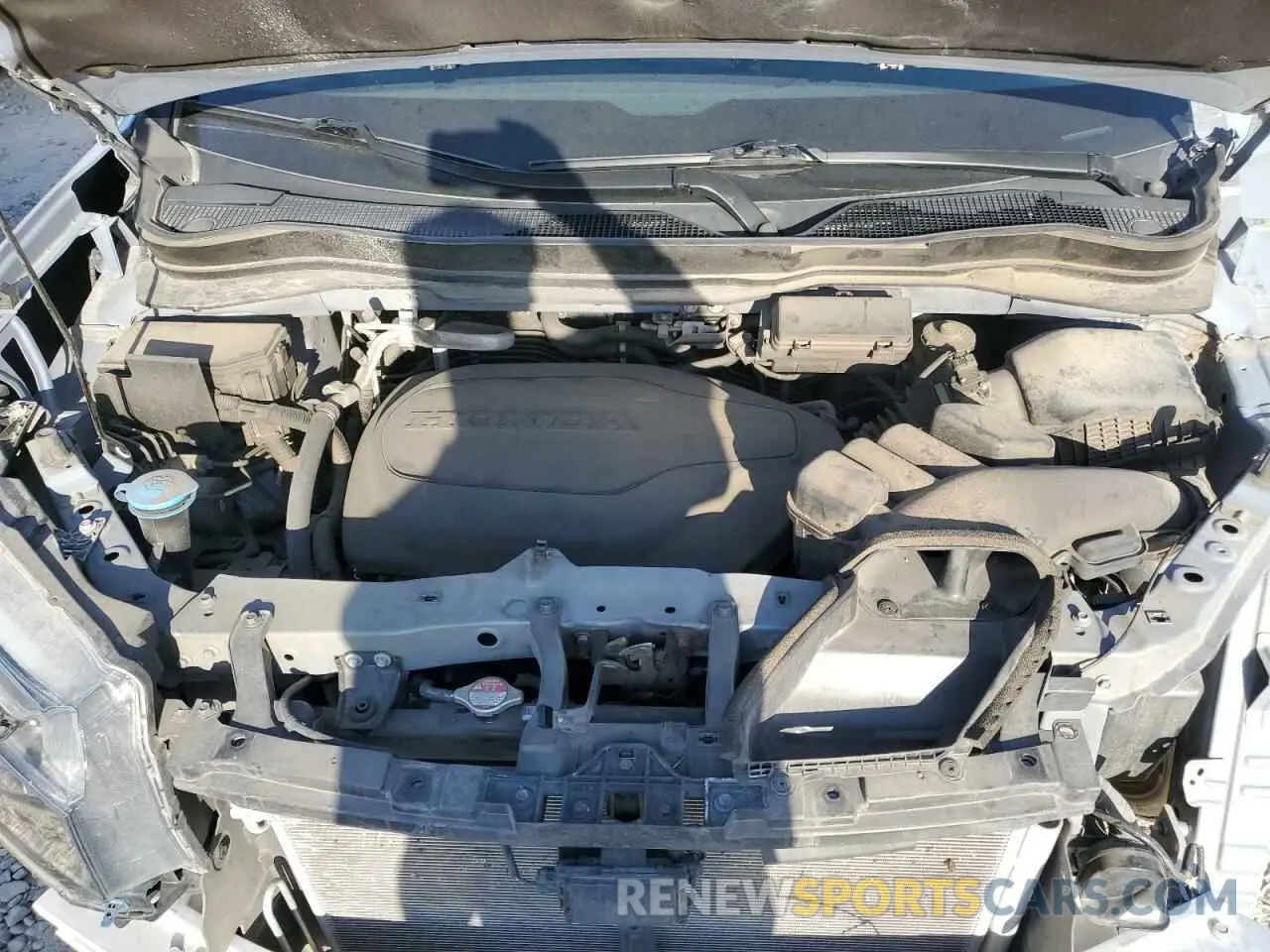 12 fotografías del automóvil dañado 5FNYF8H03NB000345 HONDA PASSPORT 2022