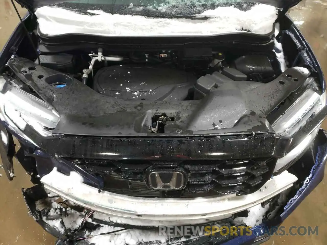 11 fotografías del automóvil dañado 5FNYF8H0XNB007521 HONDA PASSPORT 2022