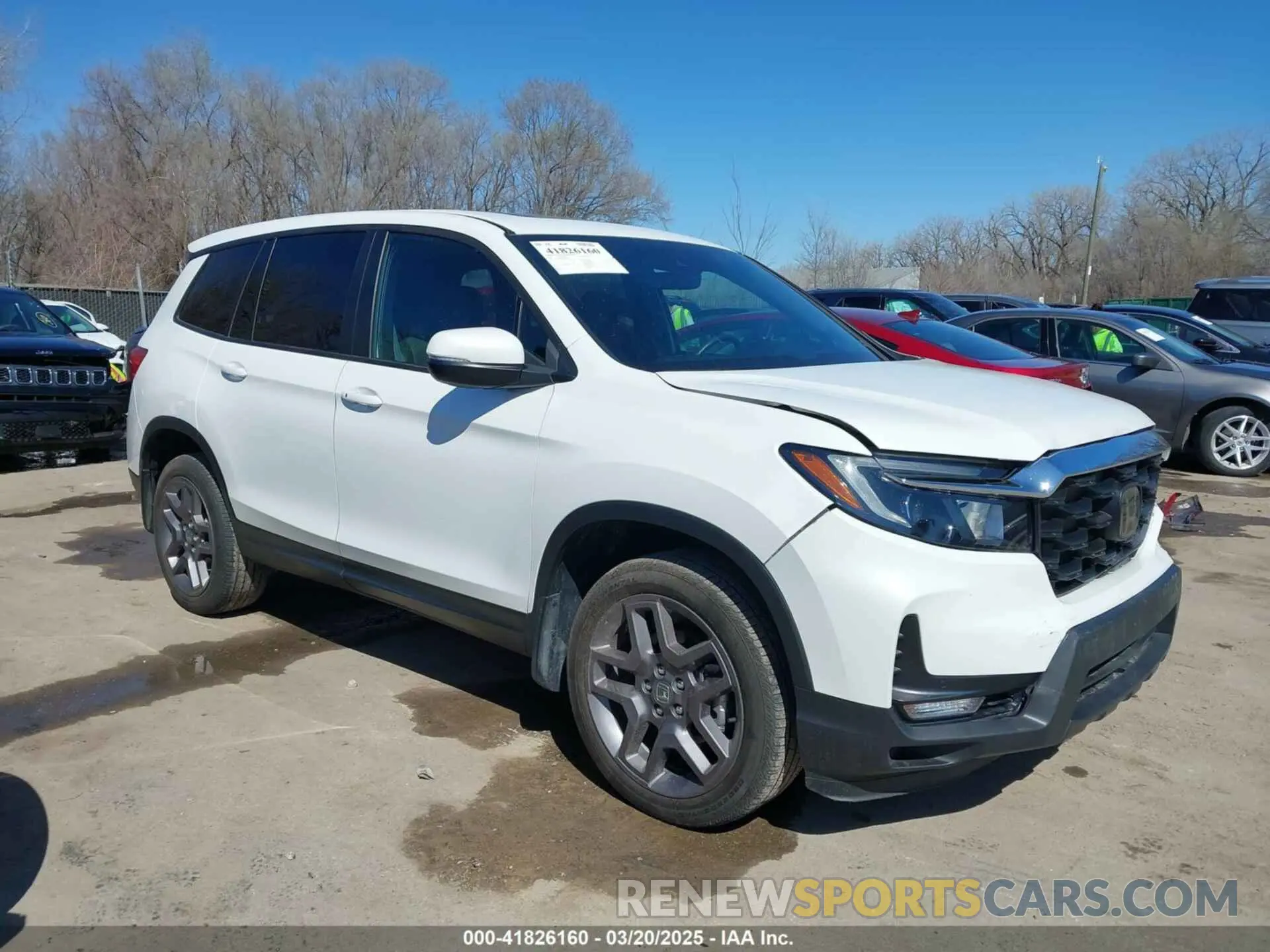 13 fotografías del automóvil dañado 5FNYF8H56NB008371 HONDA PASSPORT 2022