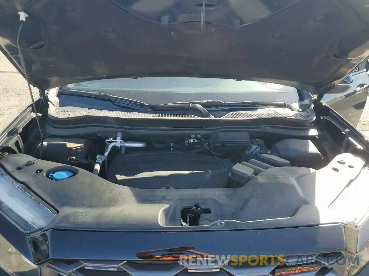 12 fotografías del automóvil dañado 5FNYF8H6XNB003764 HONDA PASSPORT 2022