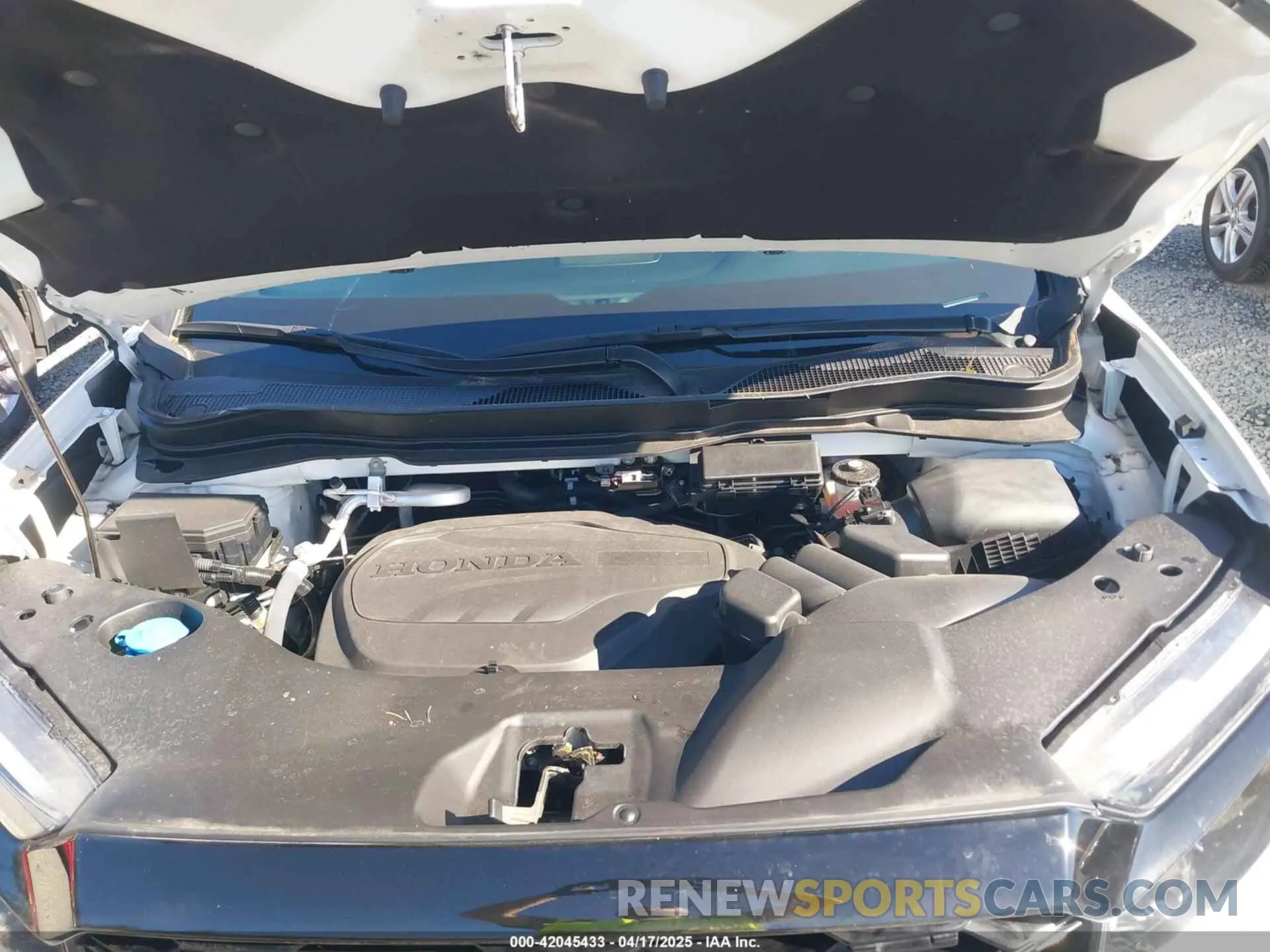 10 fotografías del automóvil dañado 5FNYF8H01PB004087 HONDA PASSPORT 2023