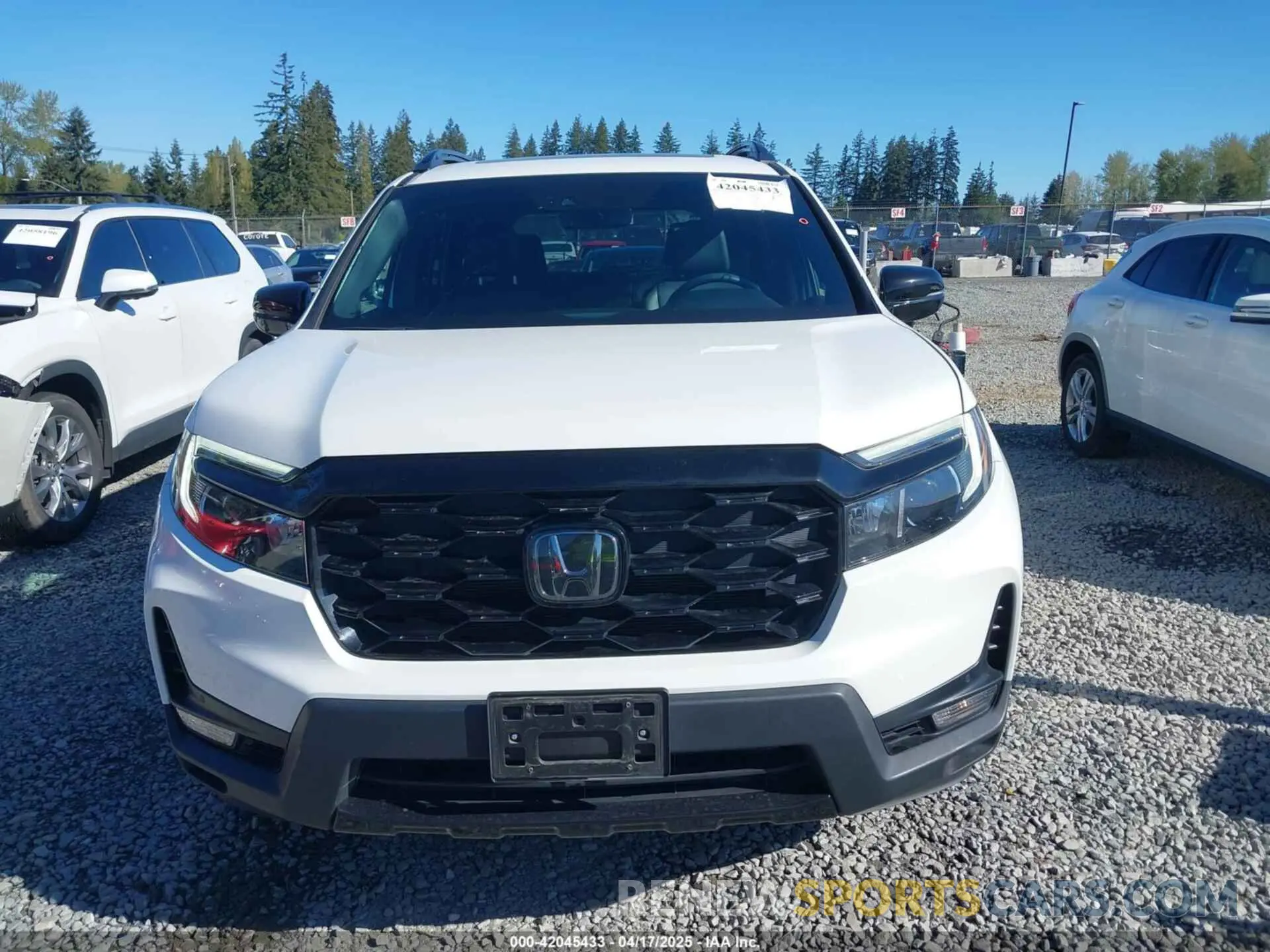 12 fotografías del automóvil dañado 5FNYF8H01PB004087 HONDA PASSPORT 2023