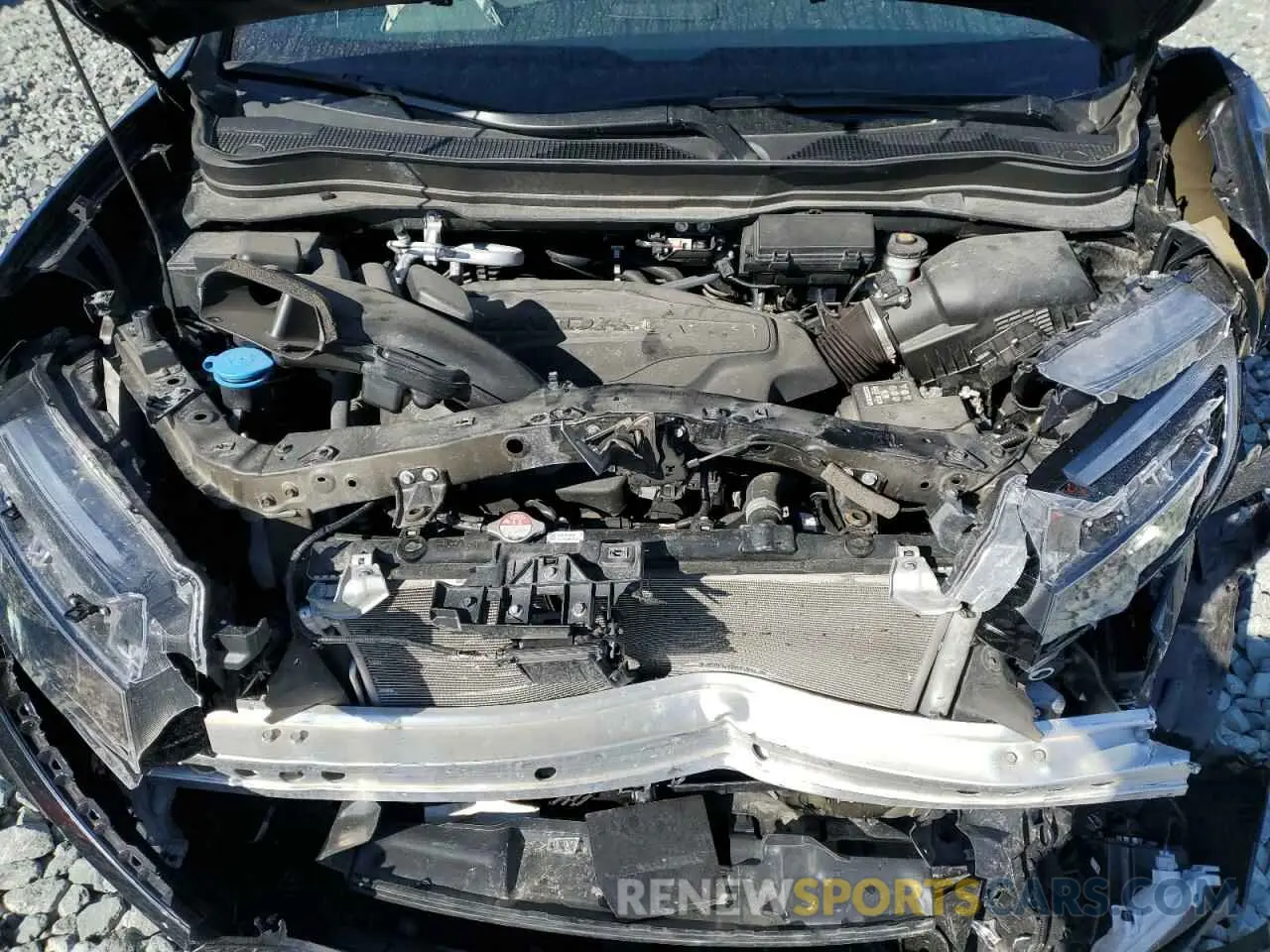 14 fotografías del automóvil dañado 5FNYF8H0XPB034110 HONDA PASSPORT 2023