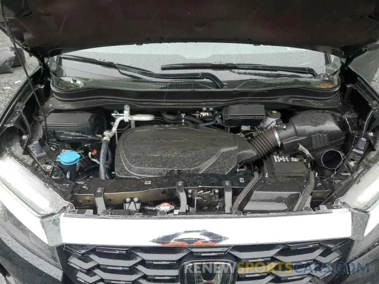 12 fotografías del automóvil dañado 5FNYF8H55PB022183 HONDA PASSPORT 2023