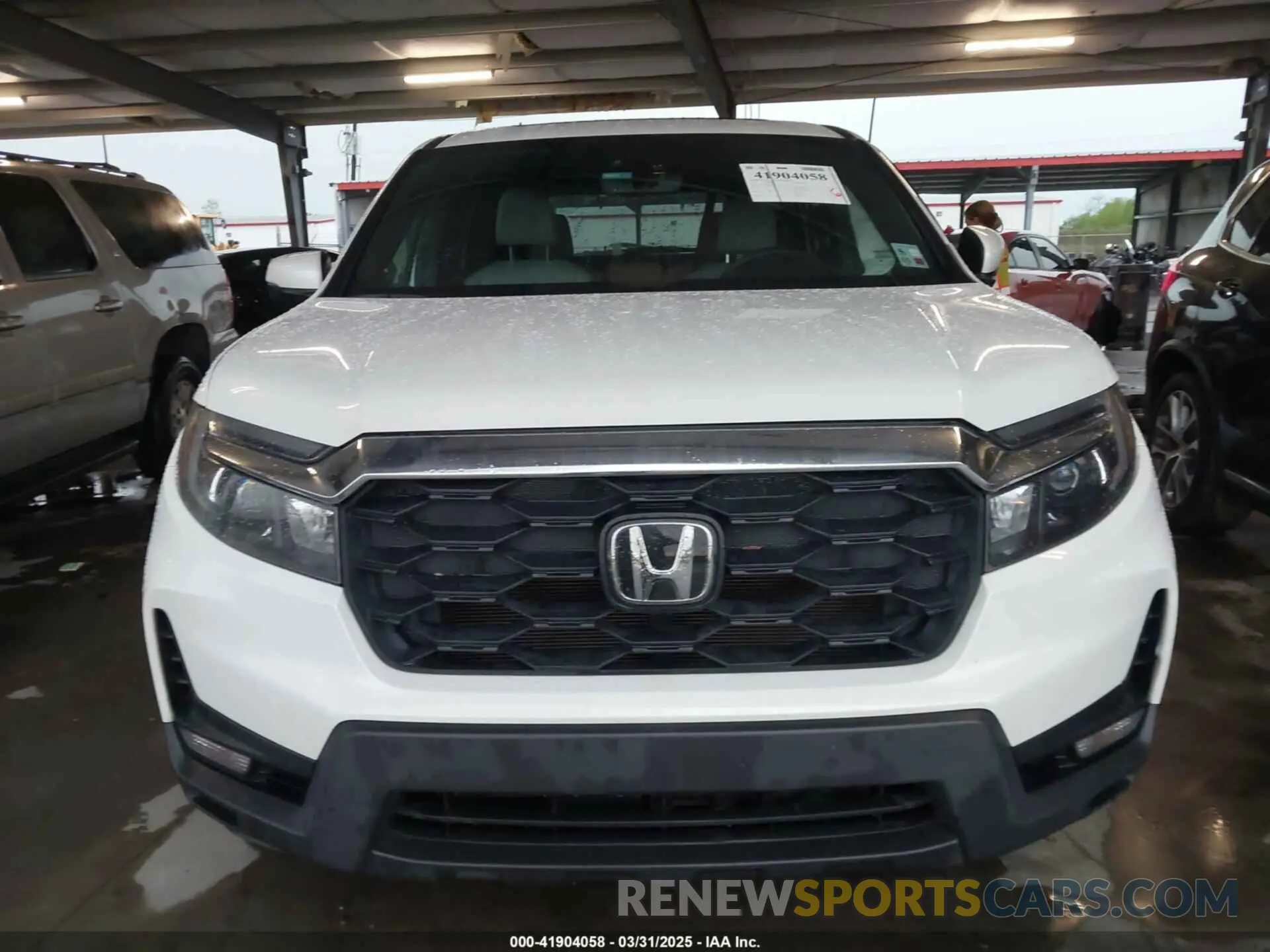 12 fotografías del automóvil dañado 5FNYF8H5XPB023040 HONDA PASSPORT 2023