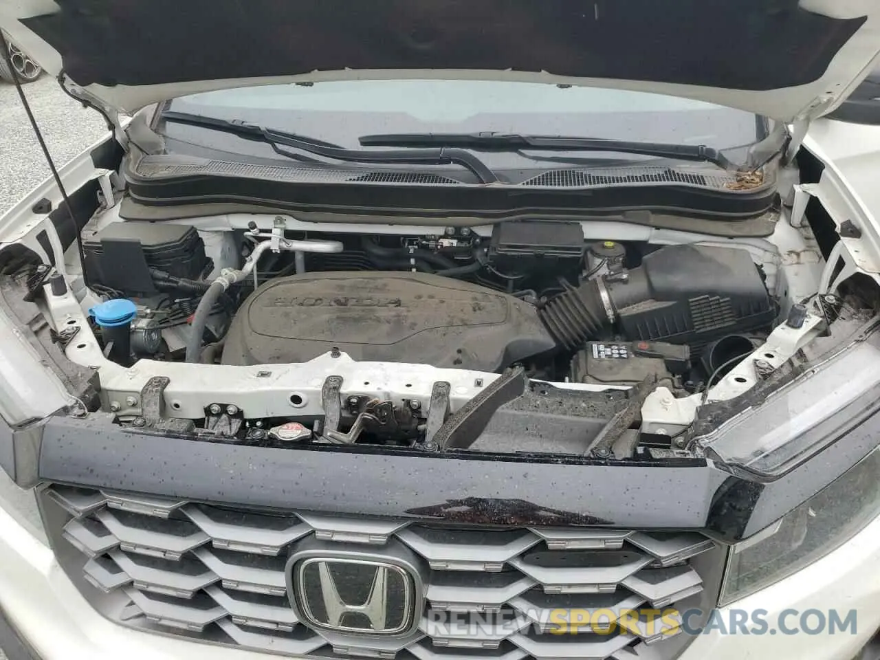 11 fotografías del automóvil dañado 5FNYF8H62PB003759 HONDA PASSPORT 2023