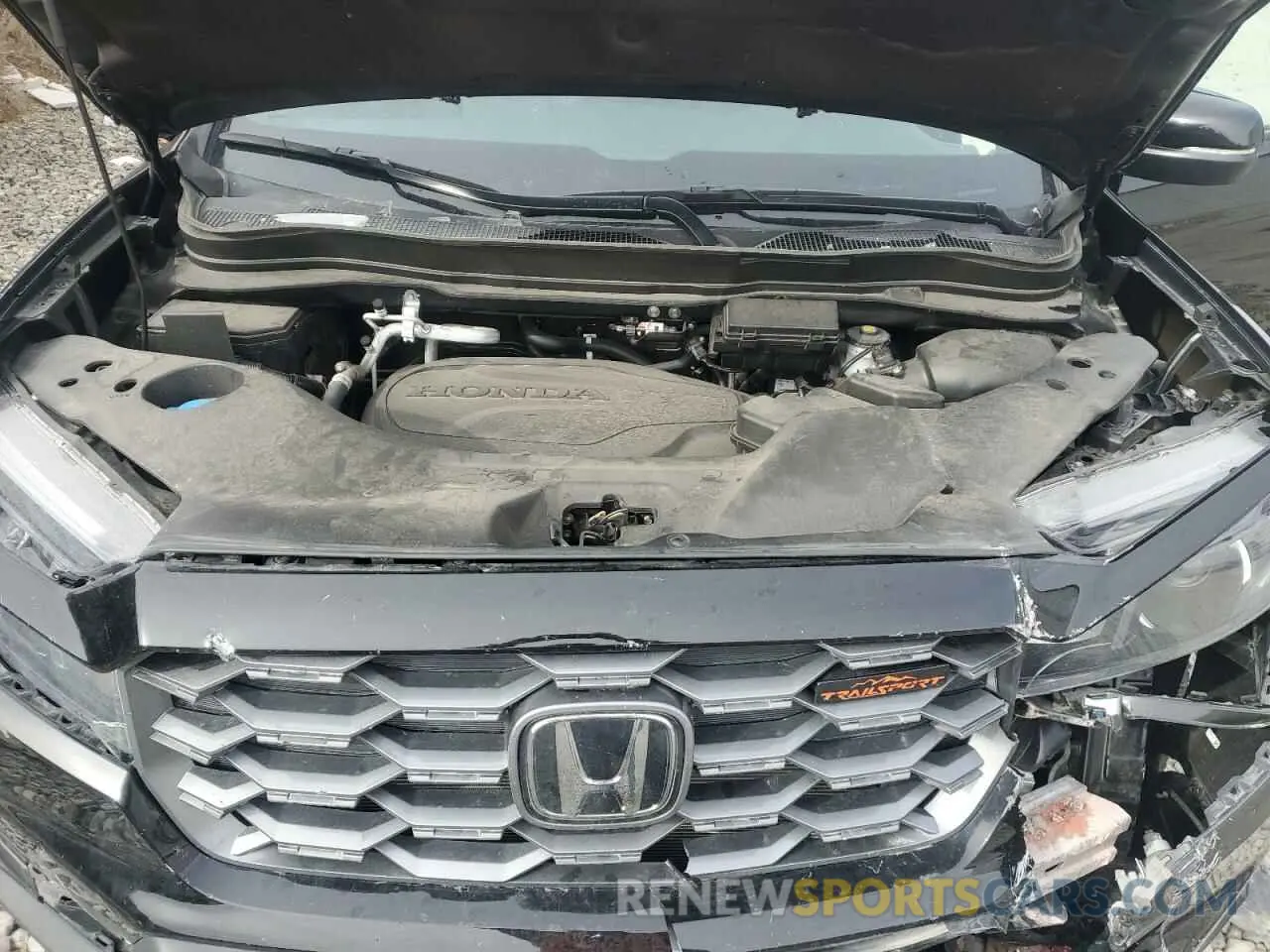 12 fotografías del automóvil dañado 5FNYF8H63PB010963 HONDA PASSPORT 2023