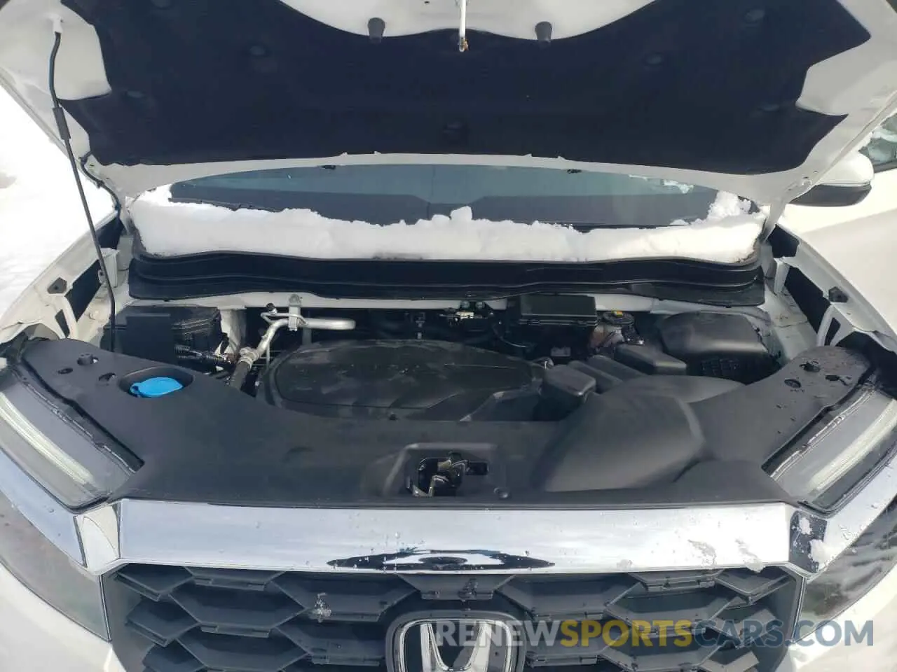 12 fotografías del automóvil dañado 5FNYF8H50RB023552 HONDA PASSPORT 2024