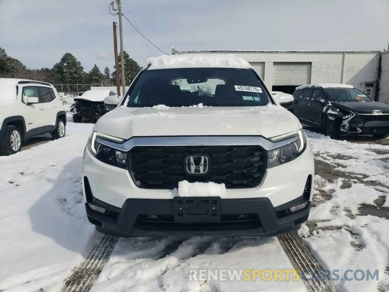 5 fotografías del automóvil dañado 5FNYF8H50RB023552 HONDA PASSPORT 2024