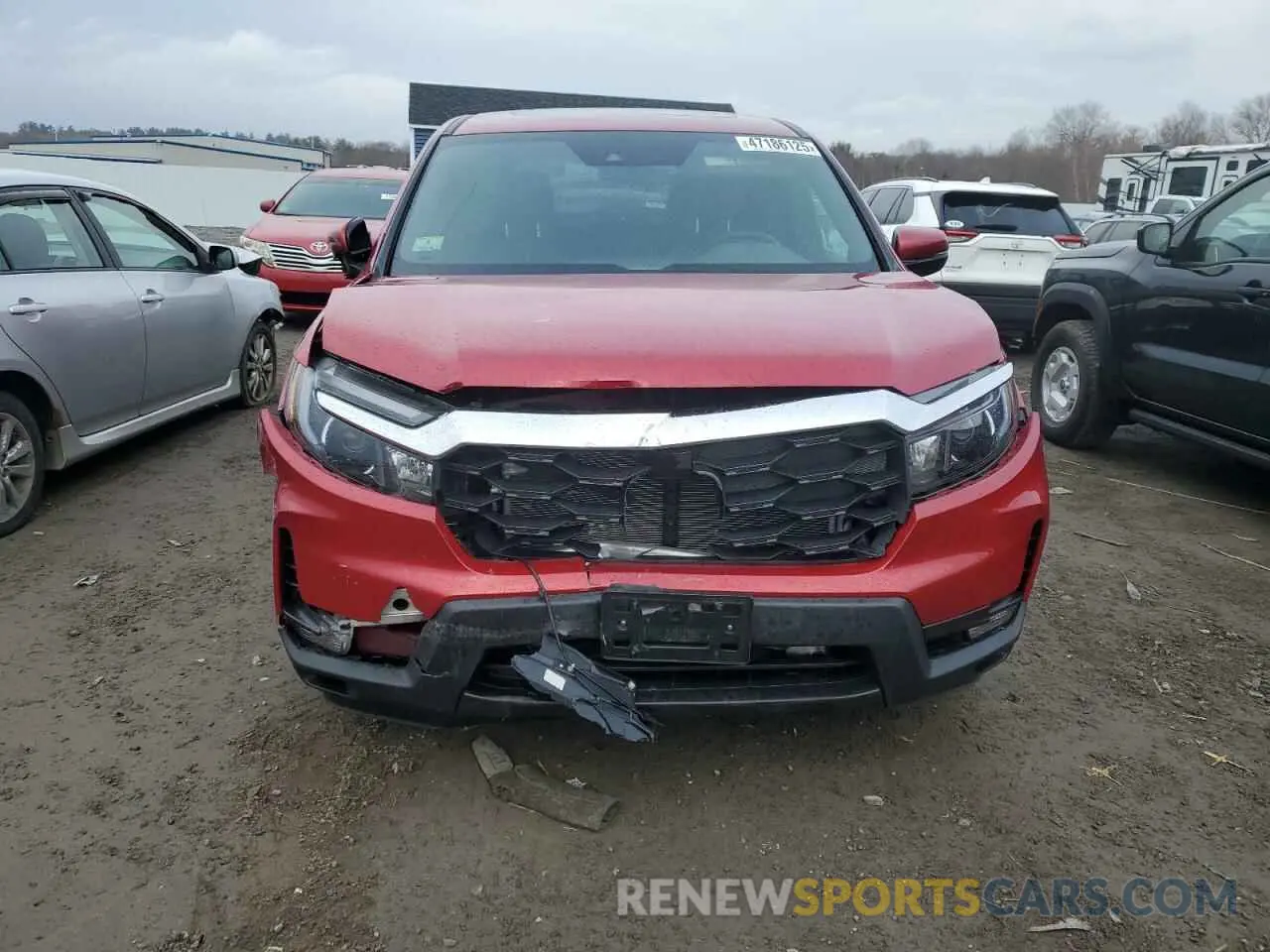 5 fotografías del automóvil dañado 5FNYF8H52RB010348 HONDA PASSPORT 2024