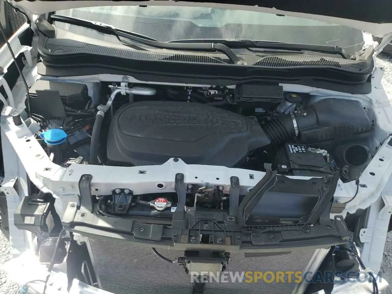 12 fotografías del automóvil dañado 5FNYF8H59SB010319 HONDA PASSPORT 2025