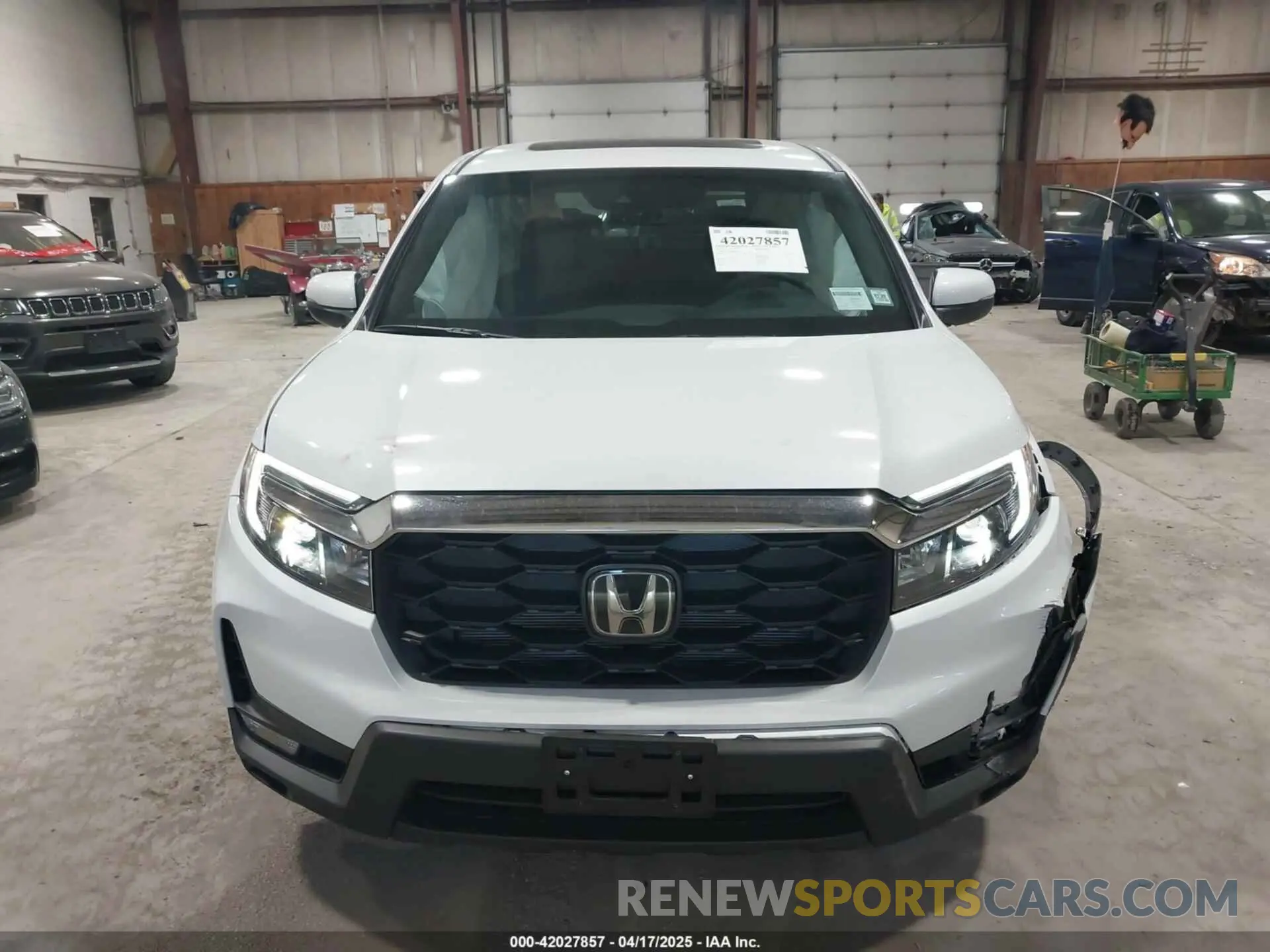 12 fotografías del automóvil dañado 5FNYF8H5XSB017943 HONDA PASSPORT 2025