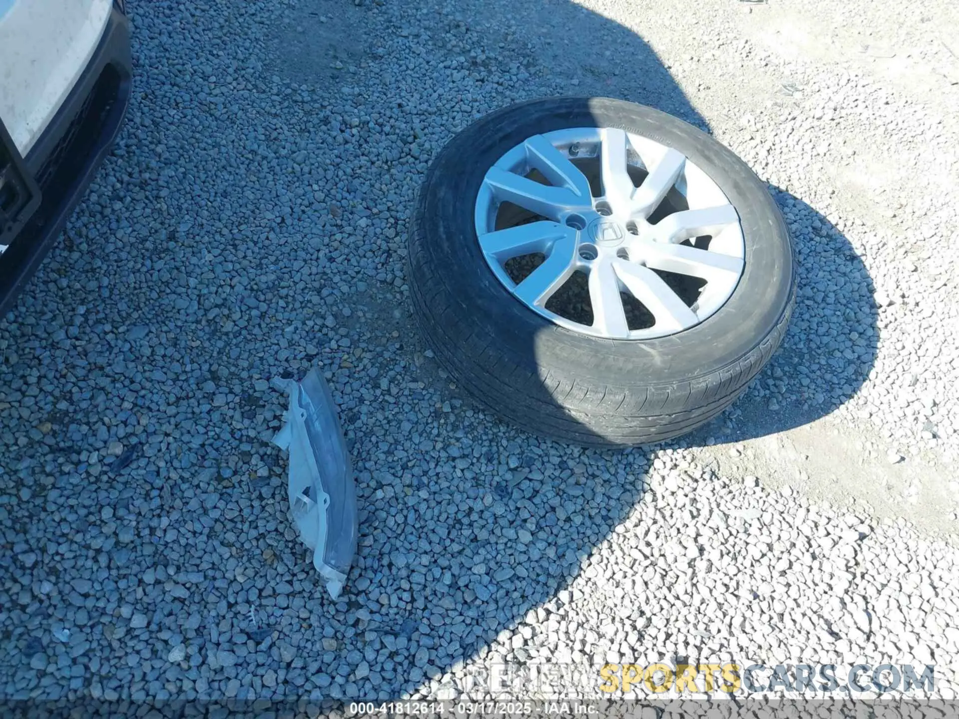 12 fotografías del automóvil dañado 5FNYF5H11KB006065 HONDA PILOT 2019