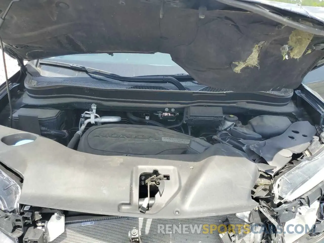 12 fotografías del automóvil dañado 5FNYF5H18KB036230 HONDA PILOT 2019