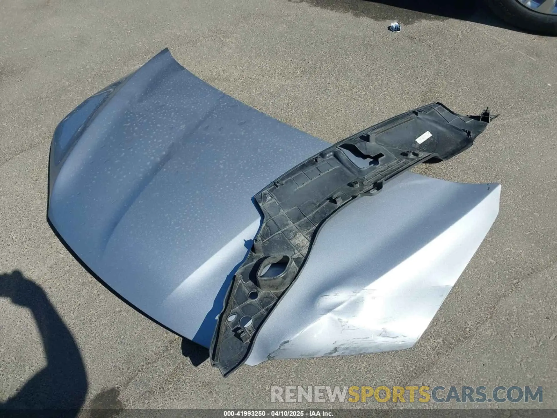 12 fotografías del automóvil dañado 5FNYF5H38KB027240 HONDA PILOT 2019