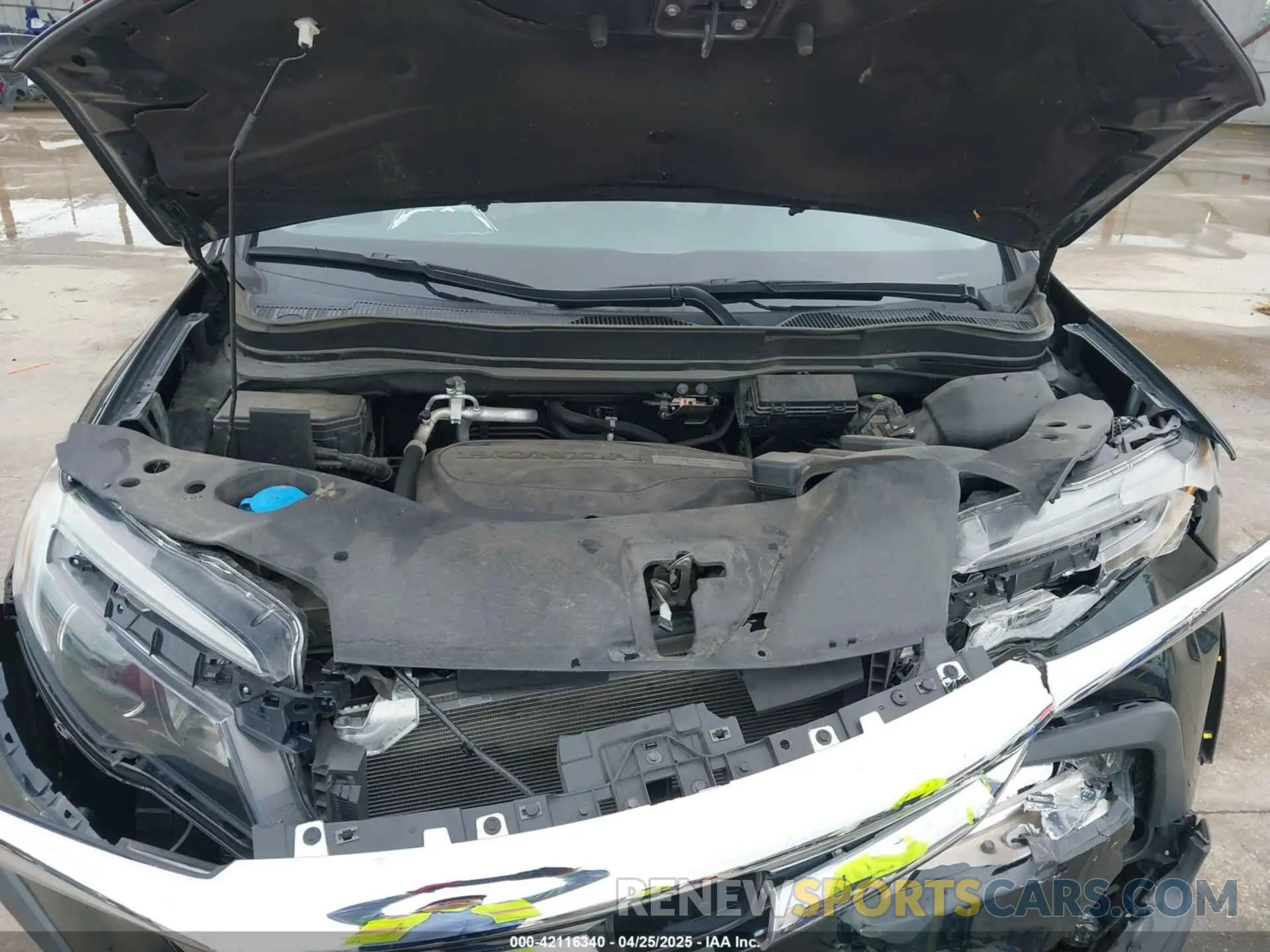10 fotografías del automóvil dañado 5FNYF5H44KB033562 HONDA PILOT 2019