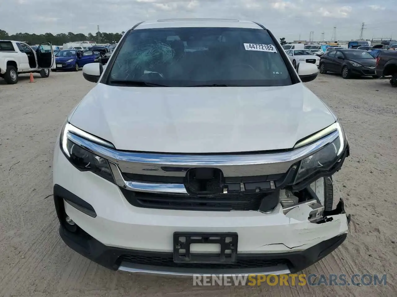 5 fotografías del automóvil dañado 5FNYF5H50KB036595 HONDA PILOT 2019