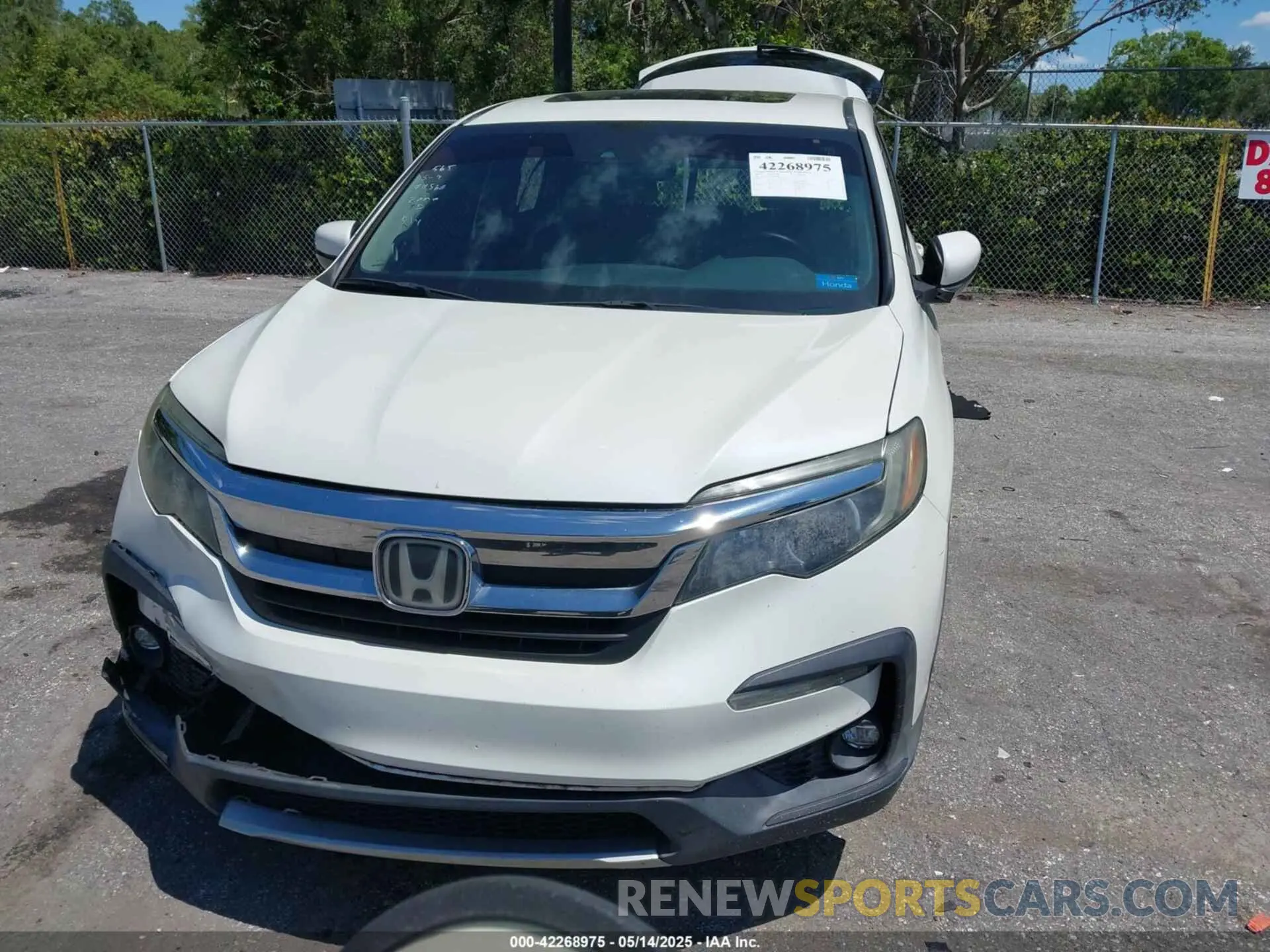 13 fotografías del automóvil dañado 5FNYF5H53KB012596 HONDA PILOT 2019