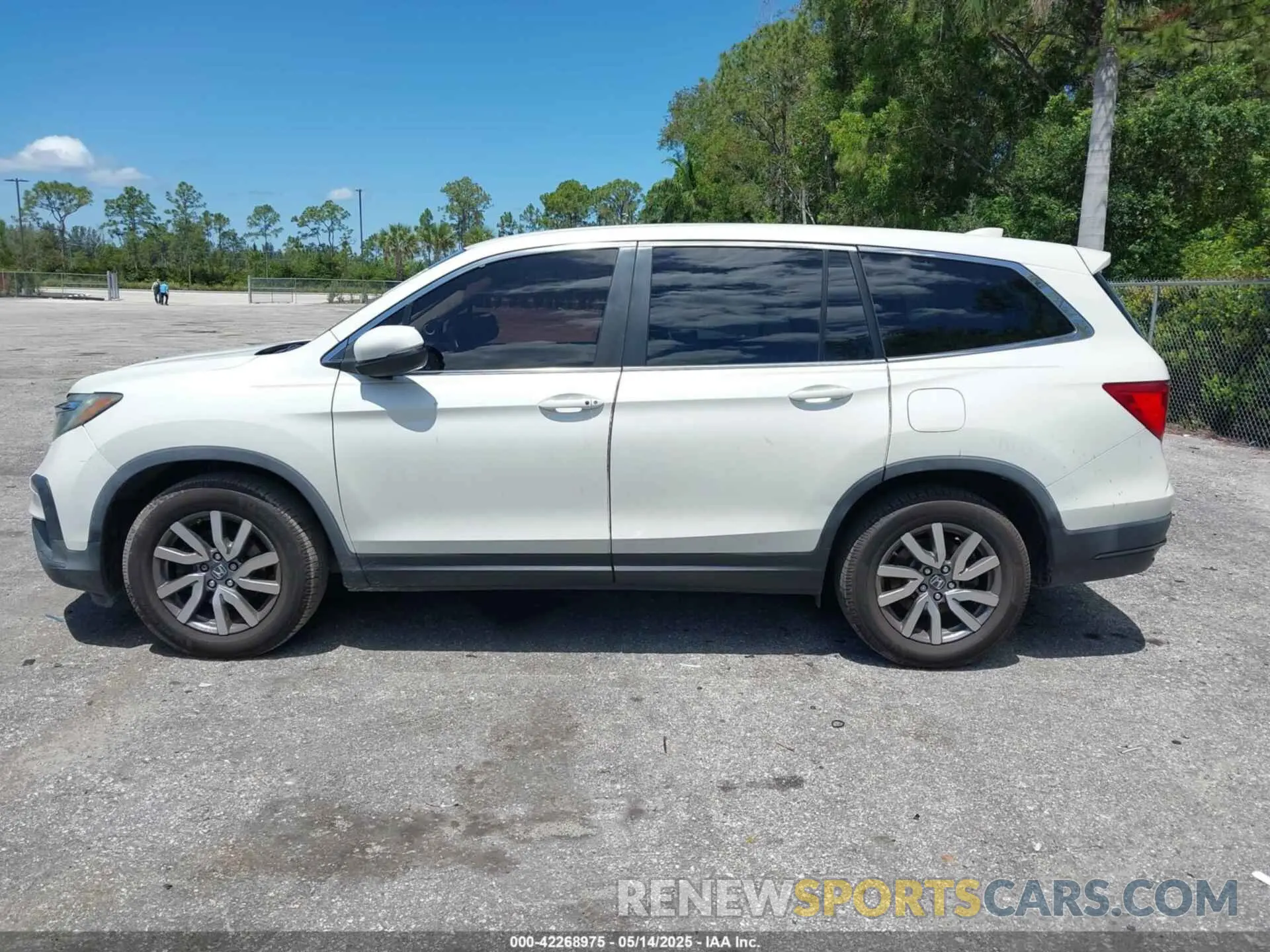 15 fotografías del automóvil dañado 5FNYF5H53KB012596 HONDA PILOT 2019
