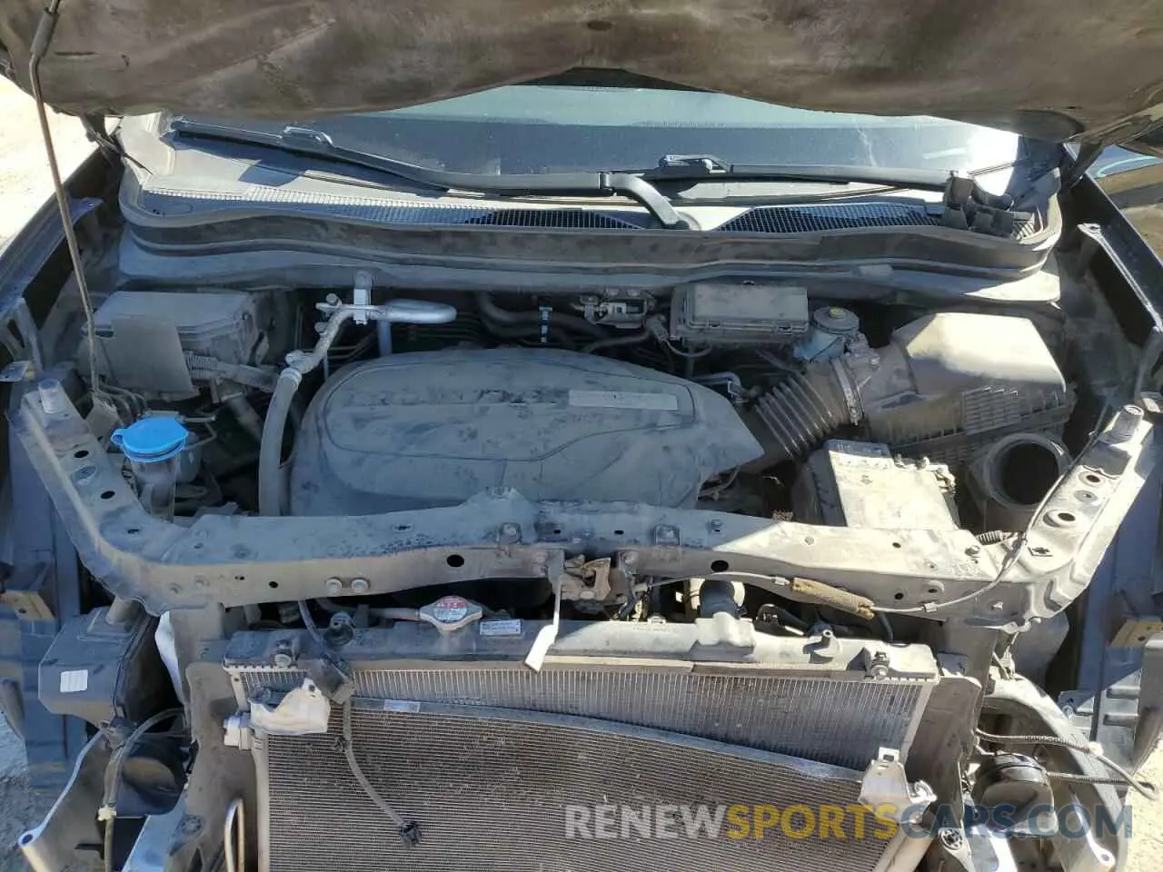 12 fotografías del automóvil dañado 5FNYF5H69KB019903 HONDA PILOT 2019