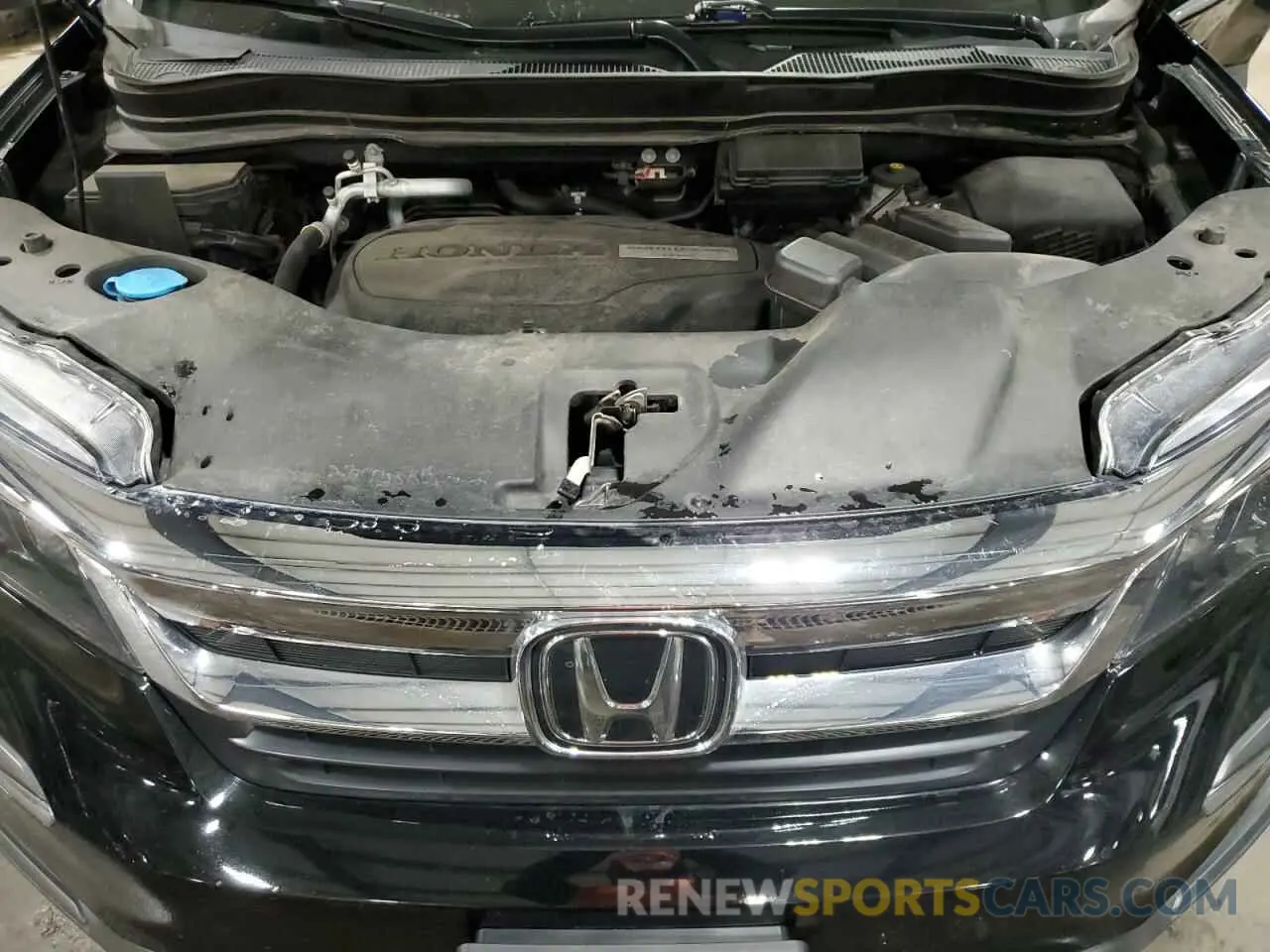 12 fotografías del automóvil dañado 5FNYF6H18KB025587 HONDA PILOT 2019