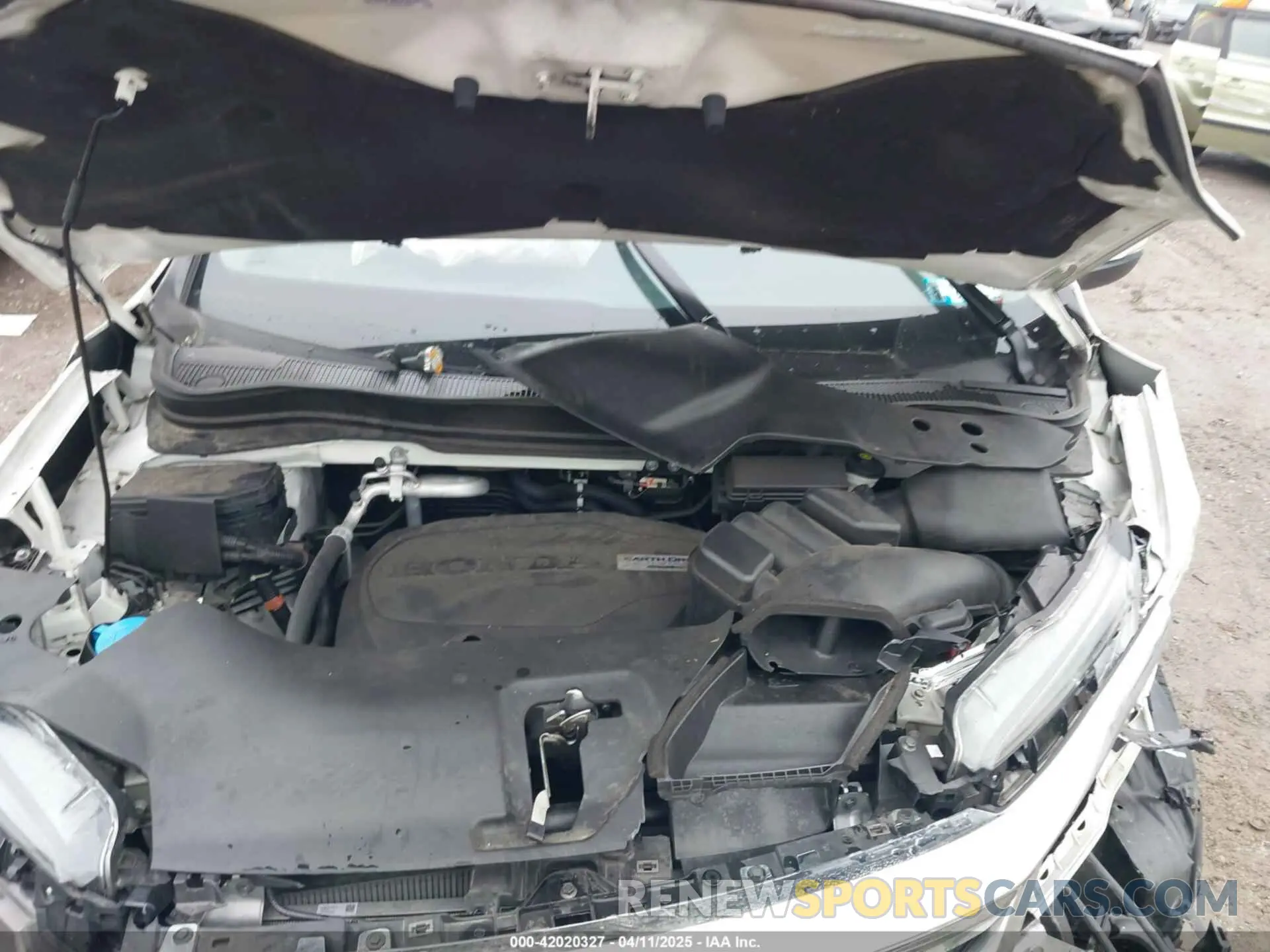 10 fotografías del automóvil dañado 5FNYF6H48KB079031 HONDA PILOT 2019