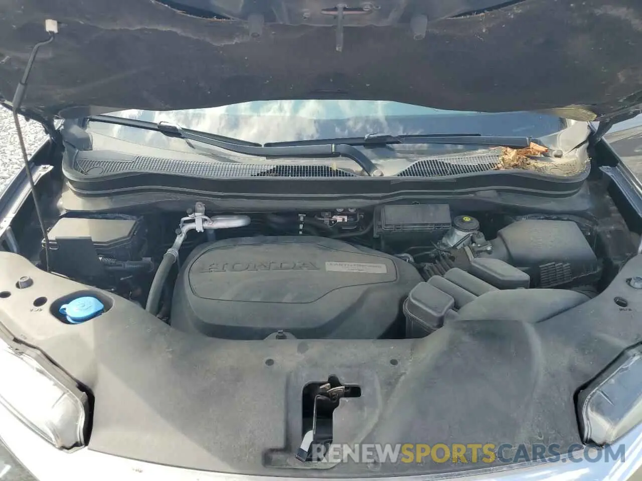 13 fotografías del automóvil dañado 5FNYF6H51KB091353 HONDA PILOT 2019