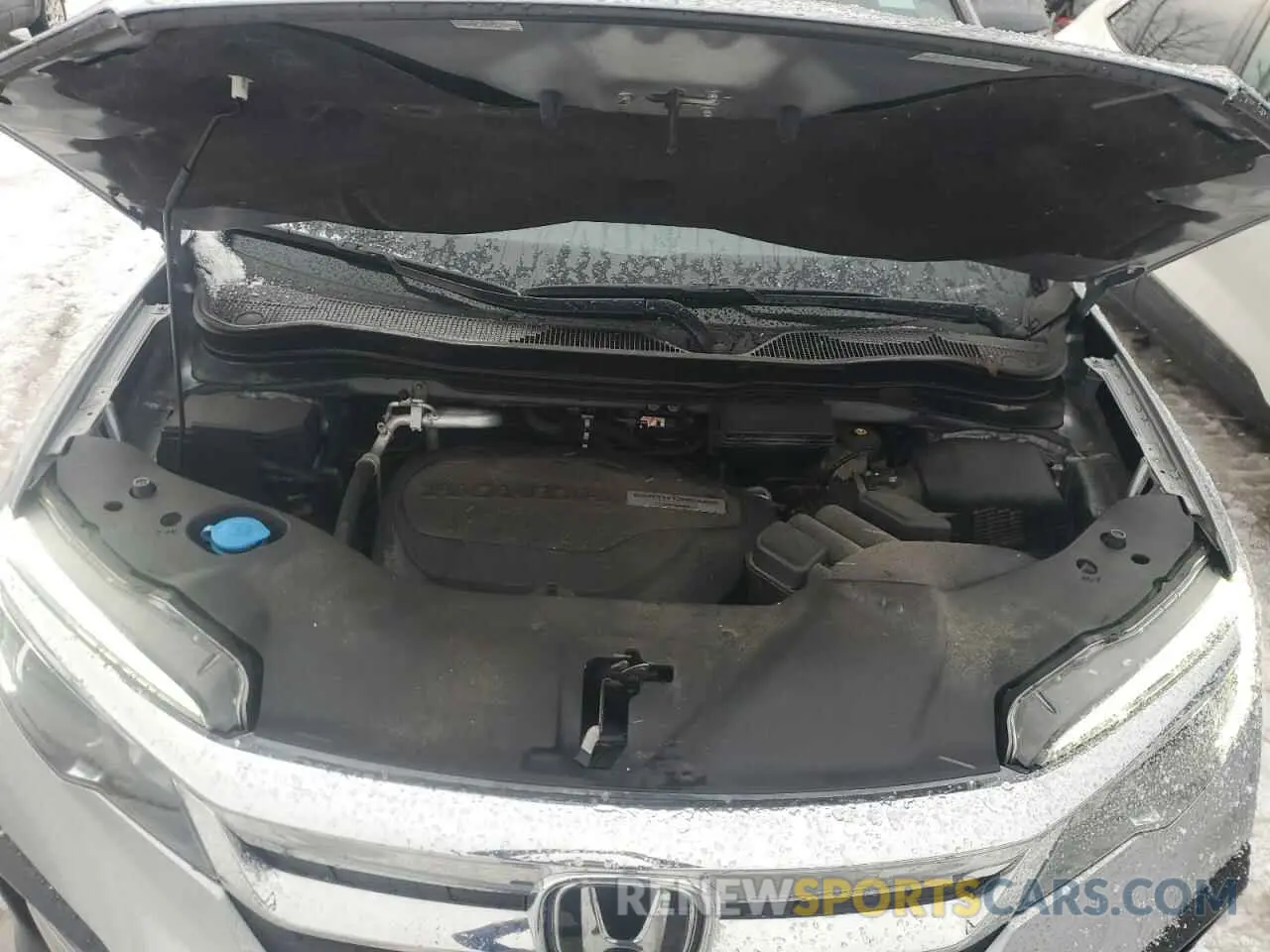 12 fotografías del automóvil dañado 5FNYF6H58KB099269 HONDA PILOT 2019