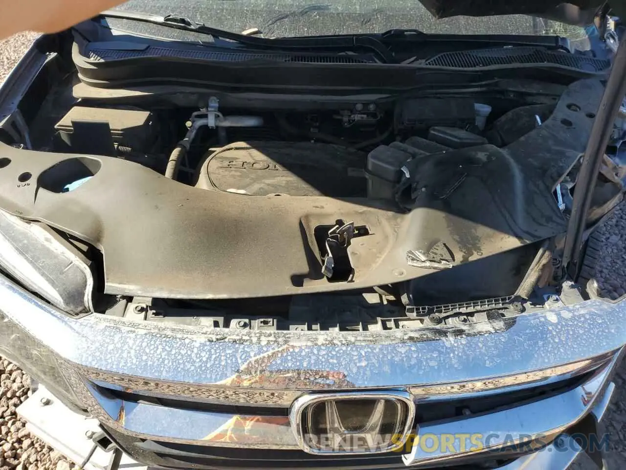 12 fotografías del automóvil dañado 5FNYF5H33LB021119 HONDA PILOT 2020