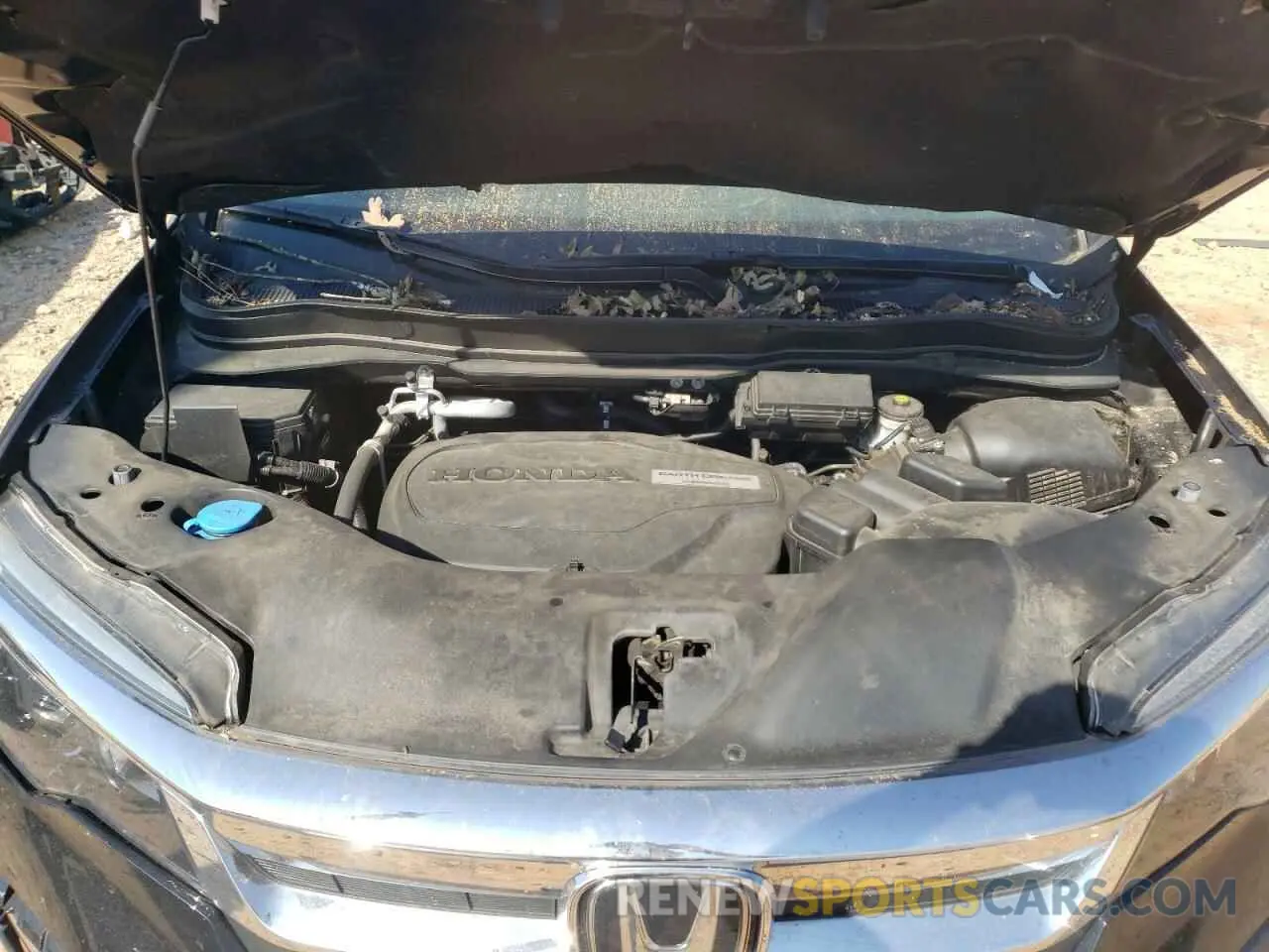 12 fotografías del automóvil dañado 5FNYF6H39LB040361 HONDA PILOT 2020