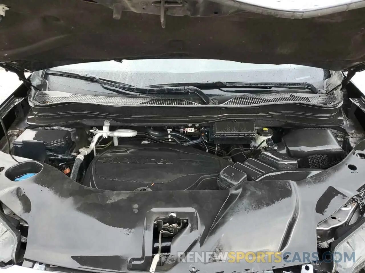 12 fotografías del automóvil dañado 5FNYF5H25MB023088 HONDA PILOT 2021