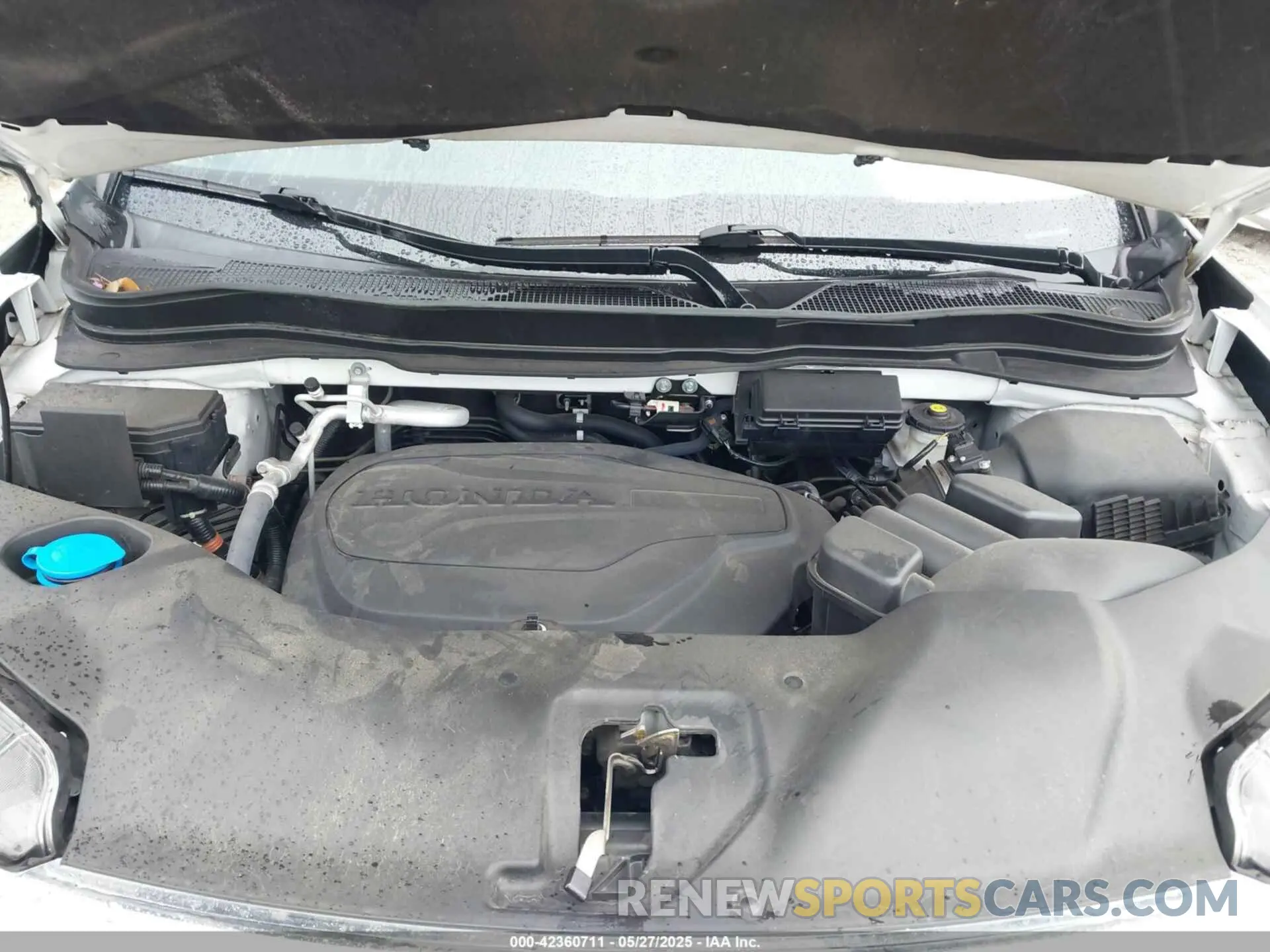 10 fotografías del automóvil dañado 5FNYF5H35MB016697 HONDA PILOT 2021