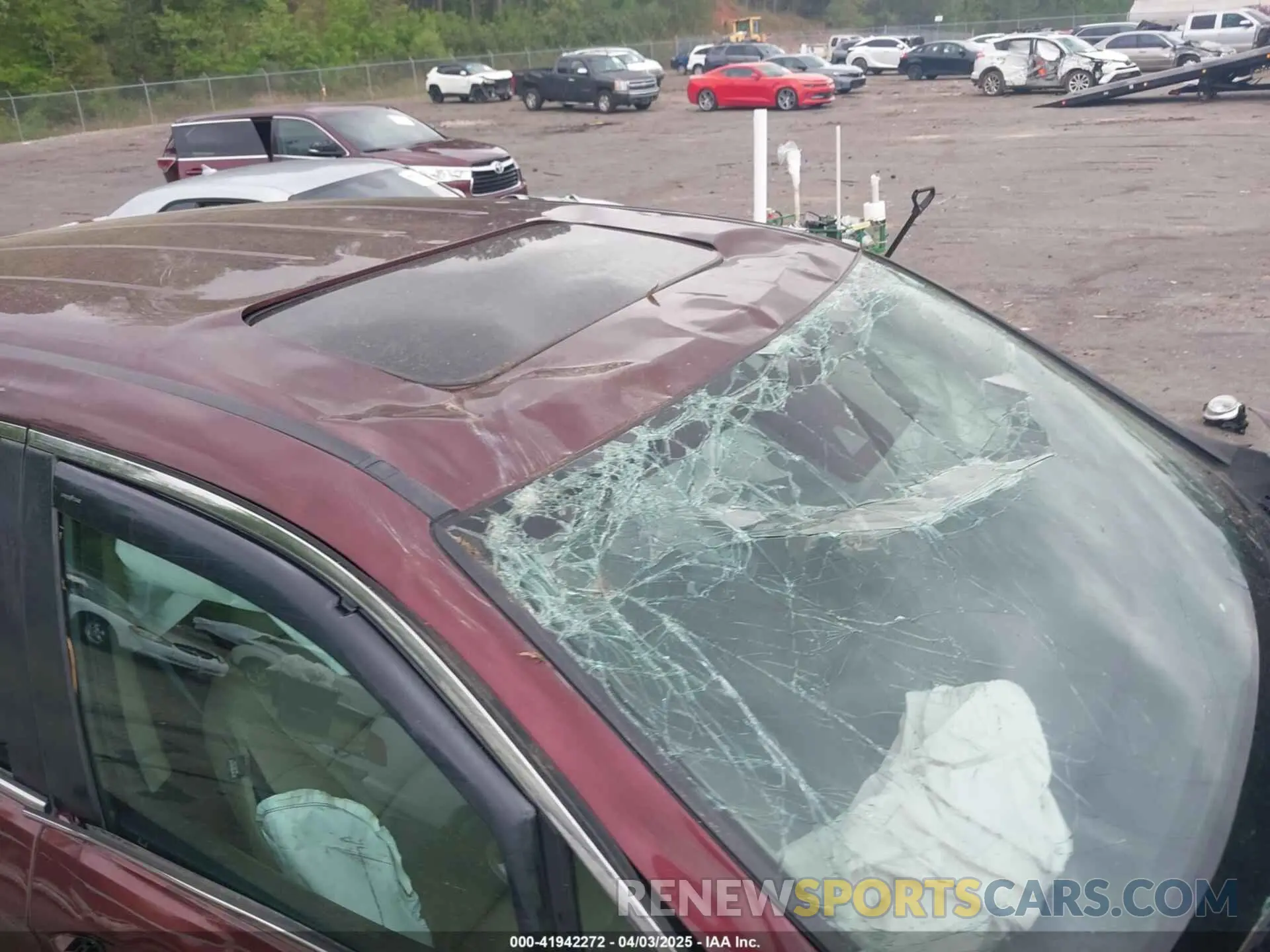 12 fotografías del automóvil dañado 5FNYF5H57MB008750 HONDA PILOT 2021