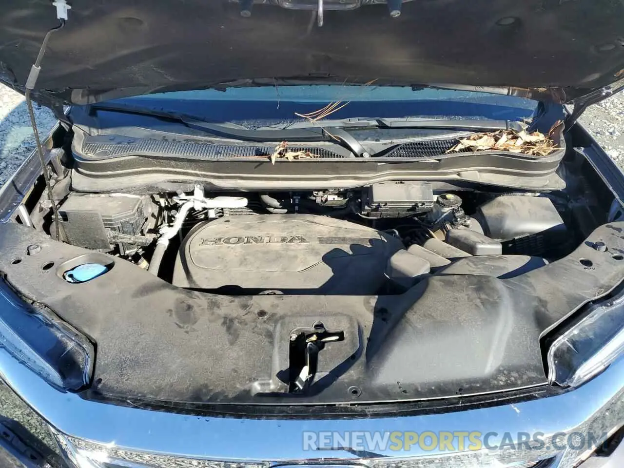 12 fotografías del automóvil dañado 5FNYF5H57MB027475 HONDA PILOT 2021