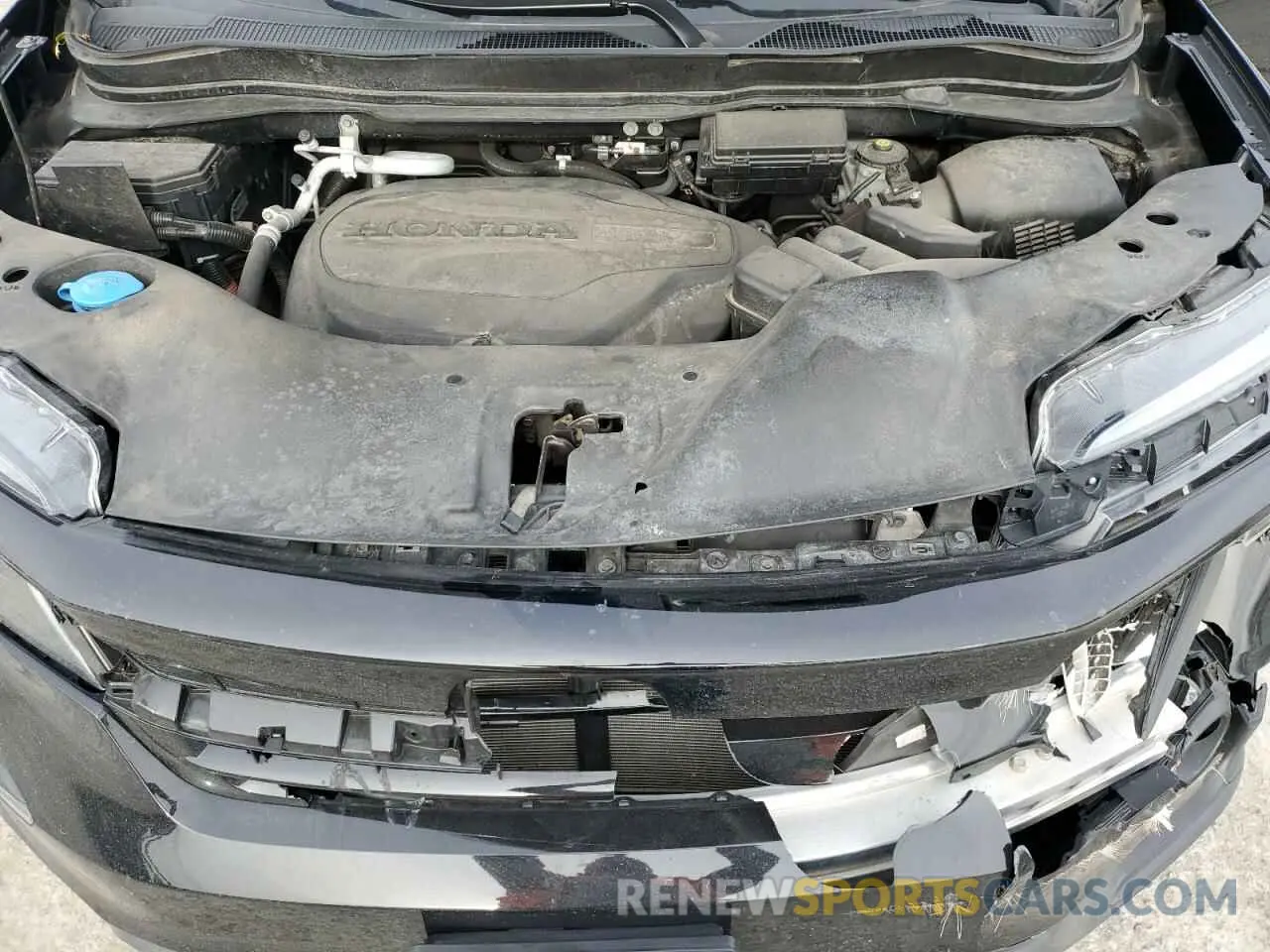 13 fotografías del automóvil dañado 5FNYF6H24MB029437 HONDA PILOT 2021