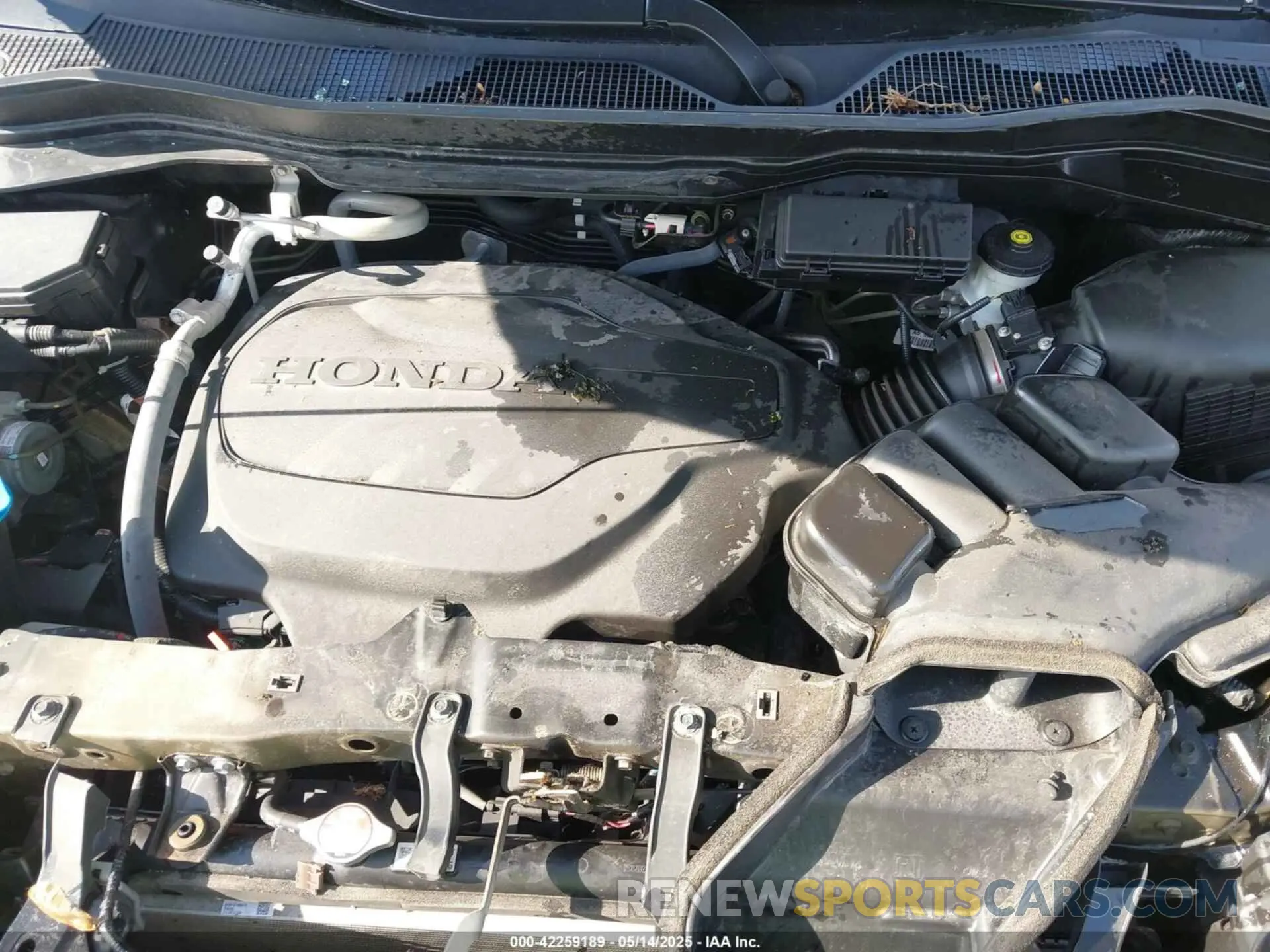 10 fotografías del automóvil dañado 5FNYF6H2XMB057422 HONDA PILOT 2021