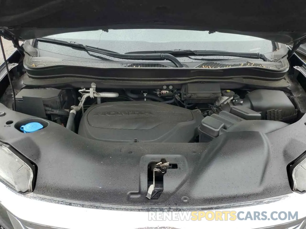 12 fotografías del automóvil dañado 5FNYF6H39MB032097 HONDA PILOT 2021