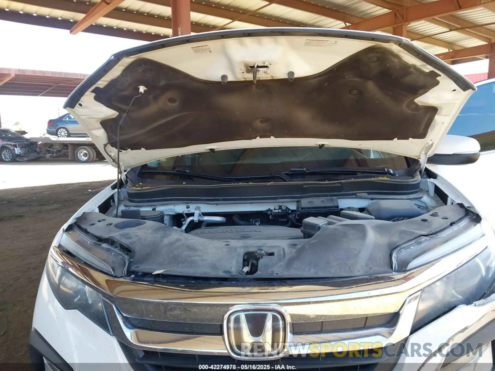 10 fotografías del automóvil dañado 5FNYF6H39MB075483 HONDA PILOT 2021