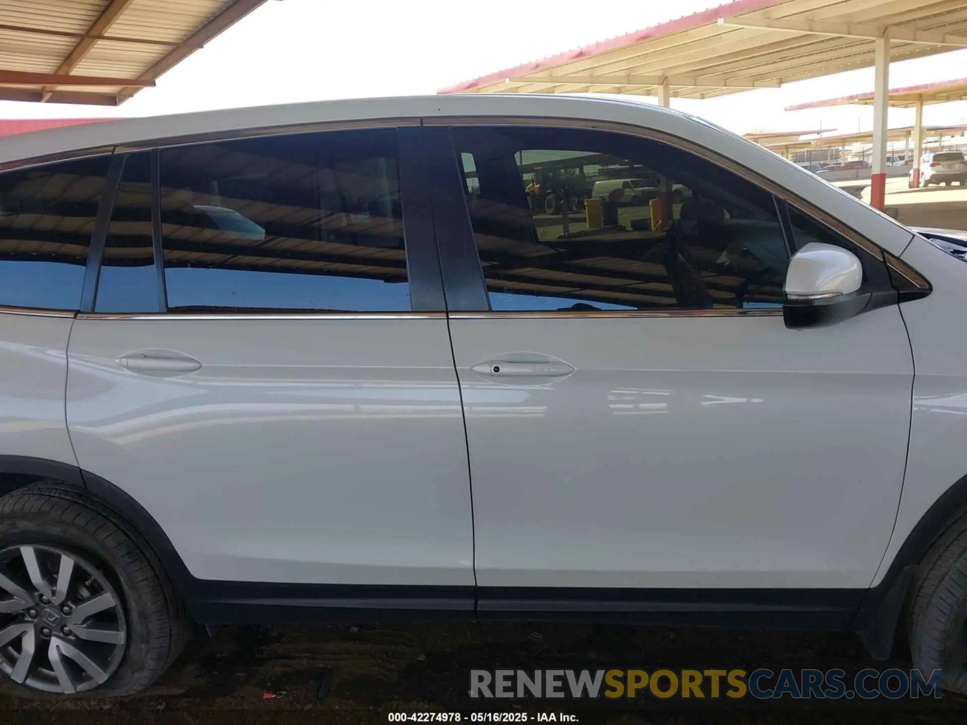 13 fotografías del automóvil dañado 5FNYF6H39MB075483 HONDA PILOT 2021
