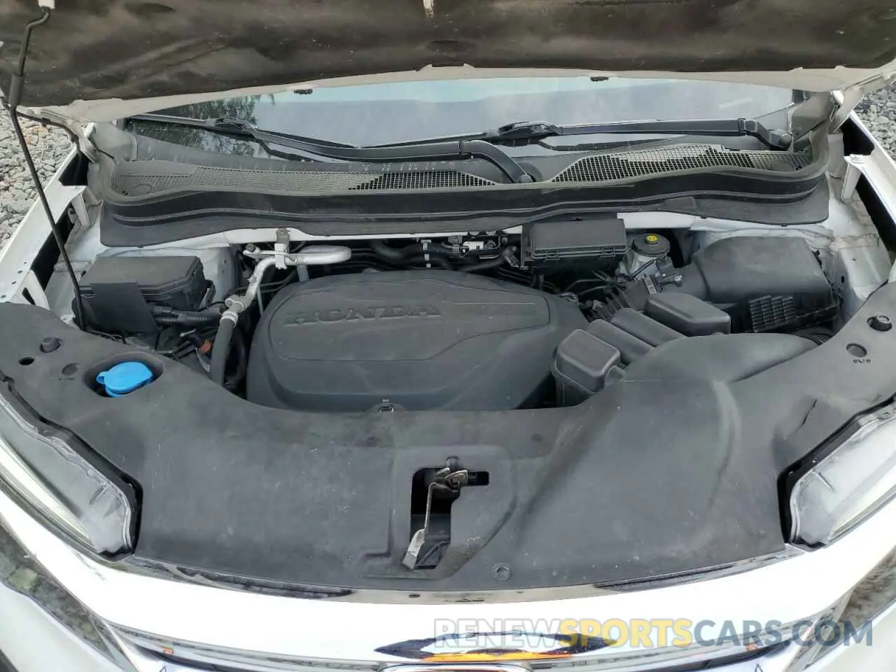 14 fotografías del automóvil dañado 5FNYF6H50MB101275 HONDA PILOT 2021