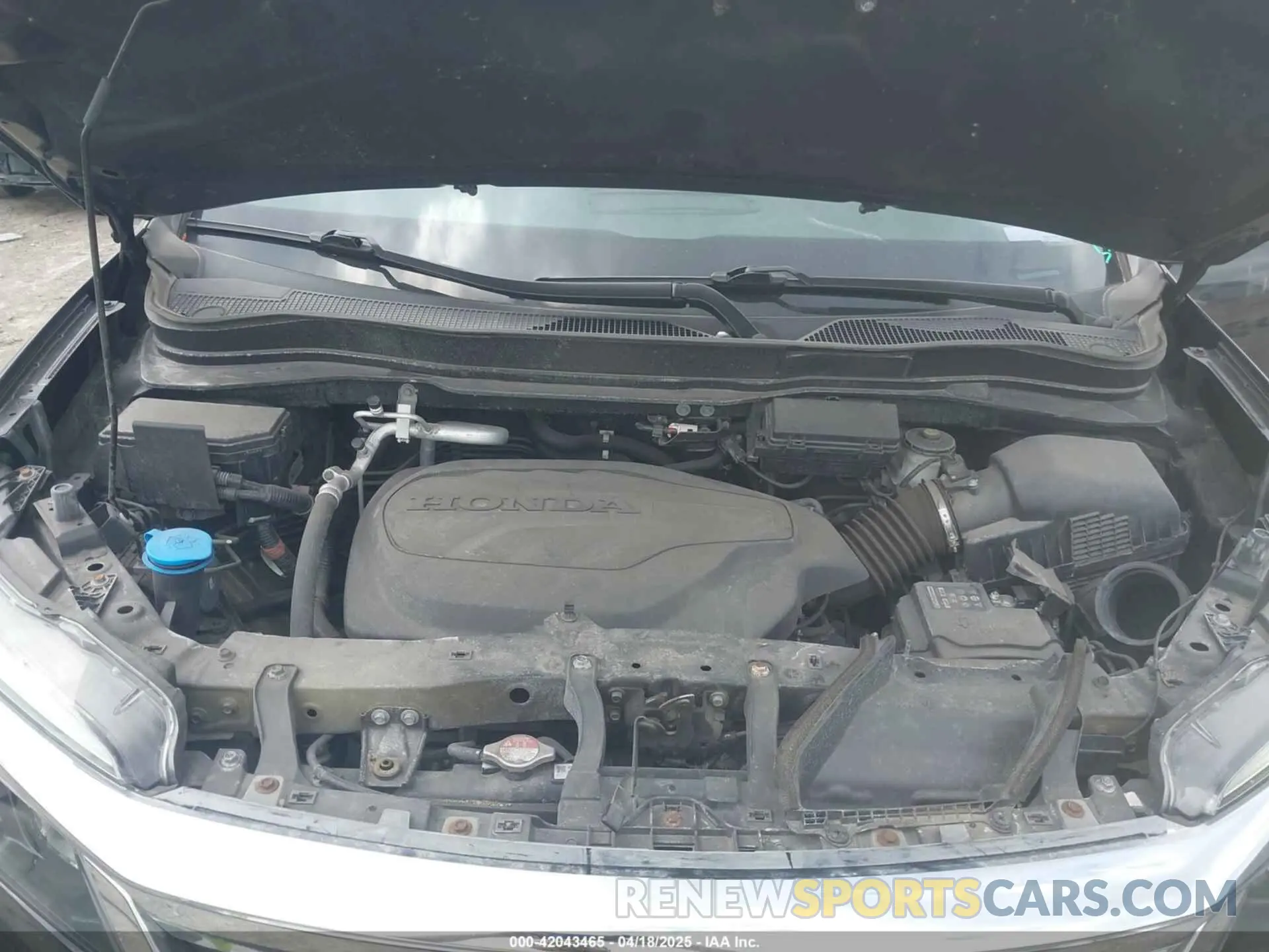 10 fotografías del automóvil dañado 5FNYF6H51MB069839 HONDA PILOT 2021