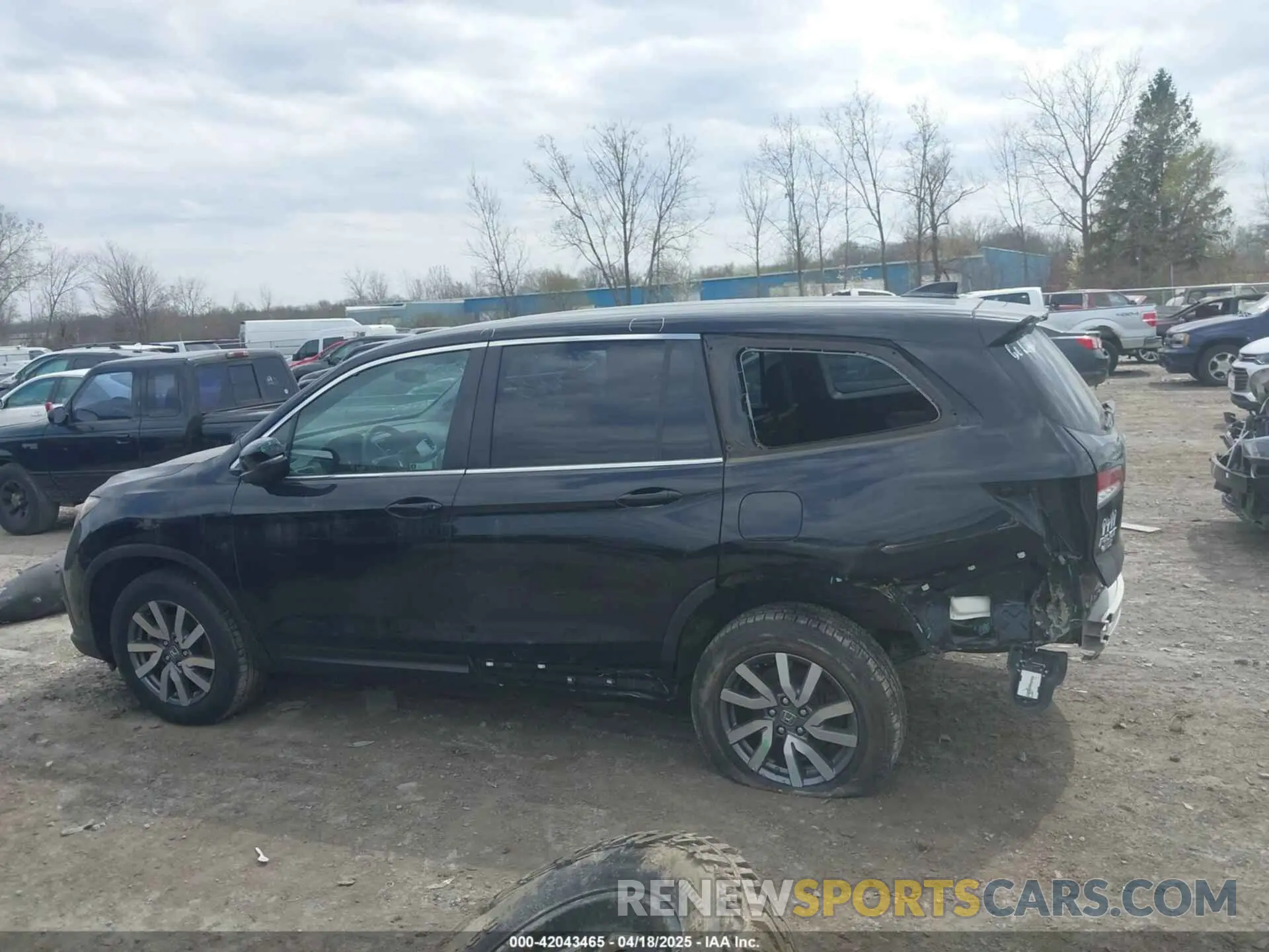 15 fotografías del automóvil dañado 5FNYF6H51MB069839 HONDA PILOT 2021