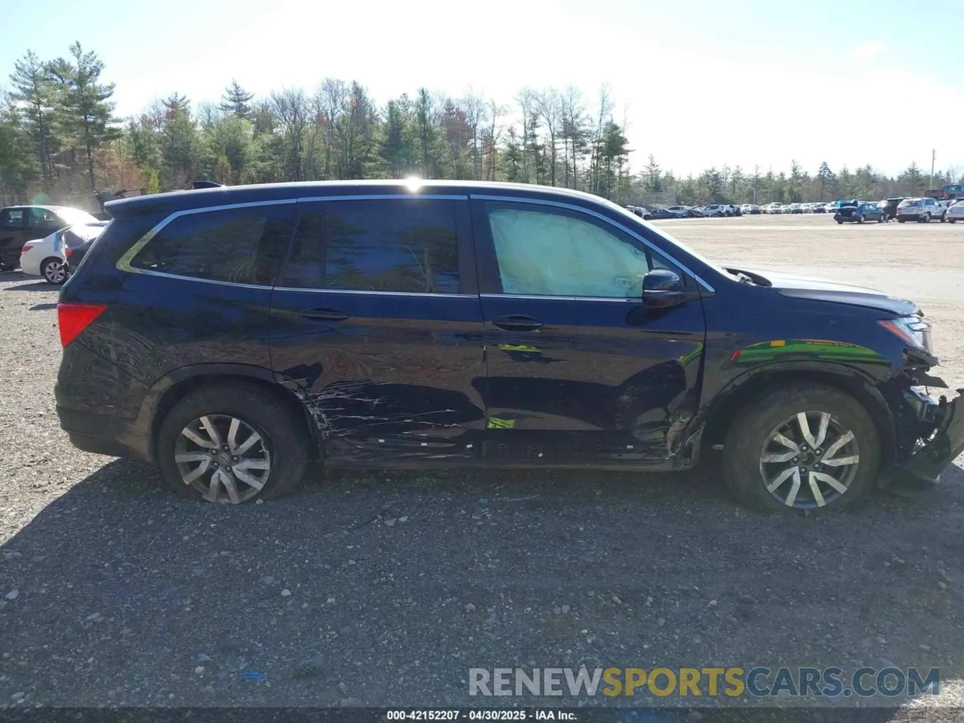 13 fotografías del automóvil dañado 5FNYF6H52MB072832 HONDA PILOT 2021