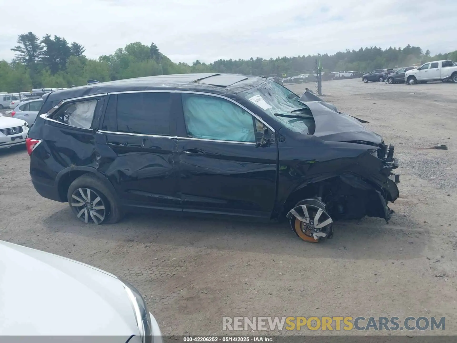 12 fotografías del automóvil dañado 5FNYF6H55MB069844 HONDA PILOT 2021