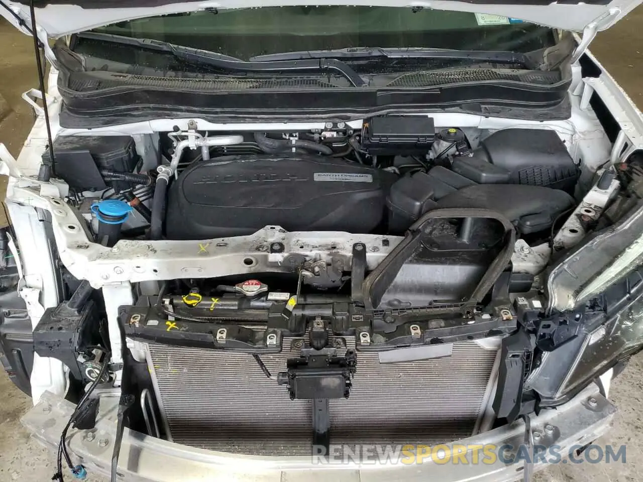 12 fotografías del automóvil dañado 5FNYF6H56MB003786 HONDA PILOT 2021
