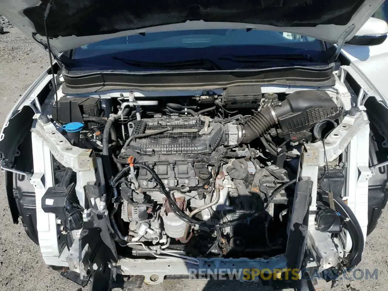 12 fotografías del automóvil dañado 5FNYF6H60MB003159 HONDA PILOT 2021