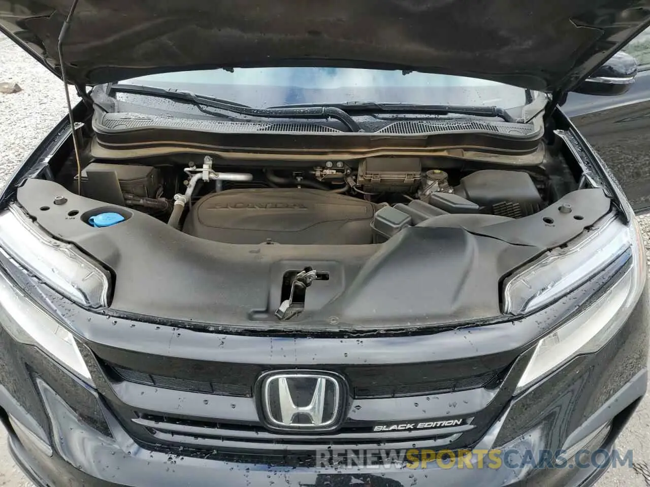12 fotografías del automóvil dañado 5FNYF6H78MB045359 HONDA PILOT 2021