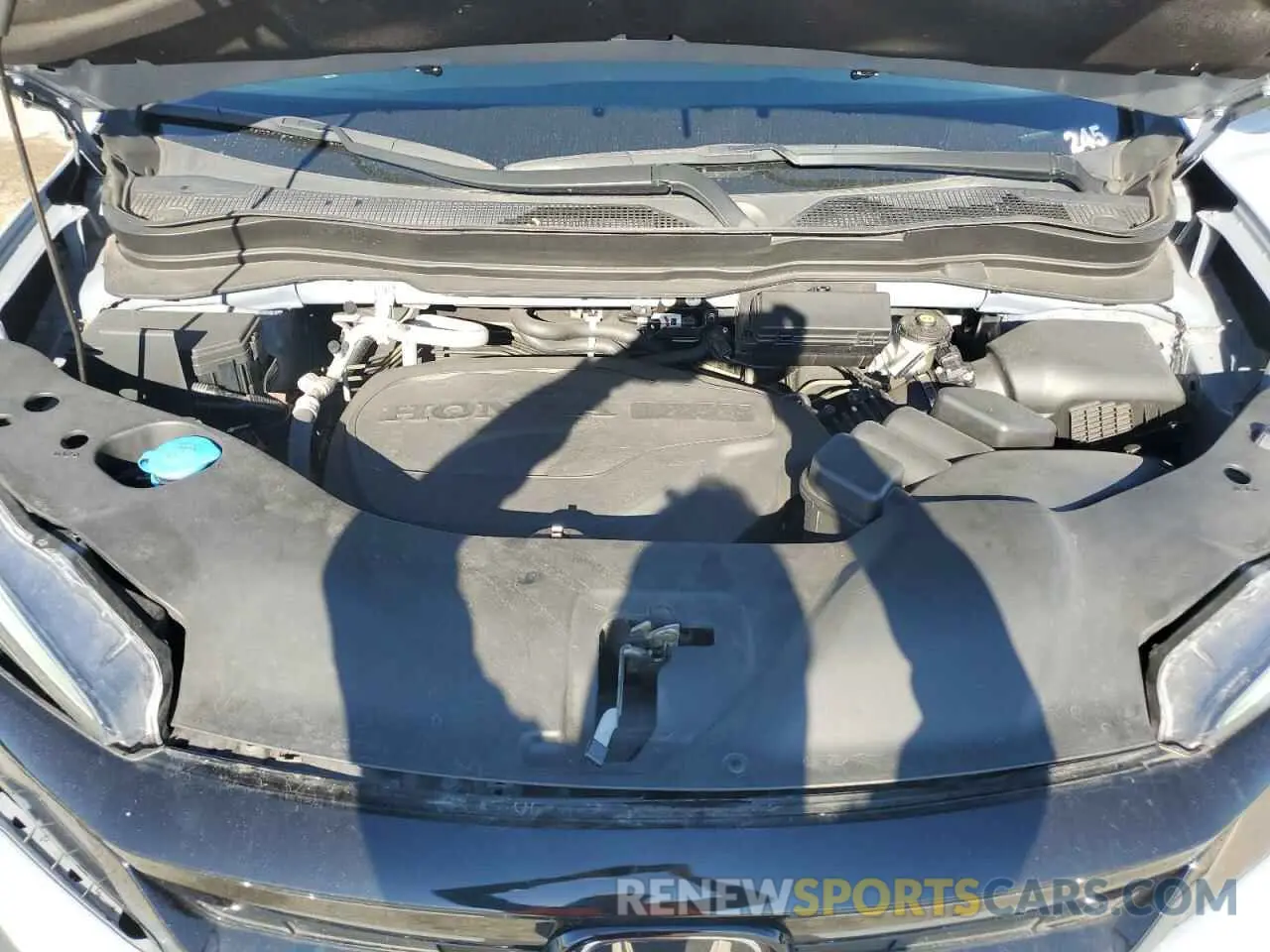 12 fotografías del automóvil dañado 5FNYF5H29NB026593 HONDA PILOT 2022