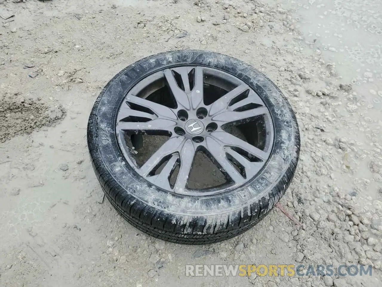 13 fotografías del automóvil dañado 5FNYF5H31NB032266 HONDA PILOT 2022