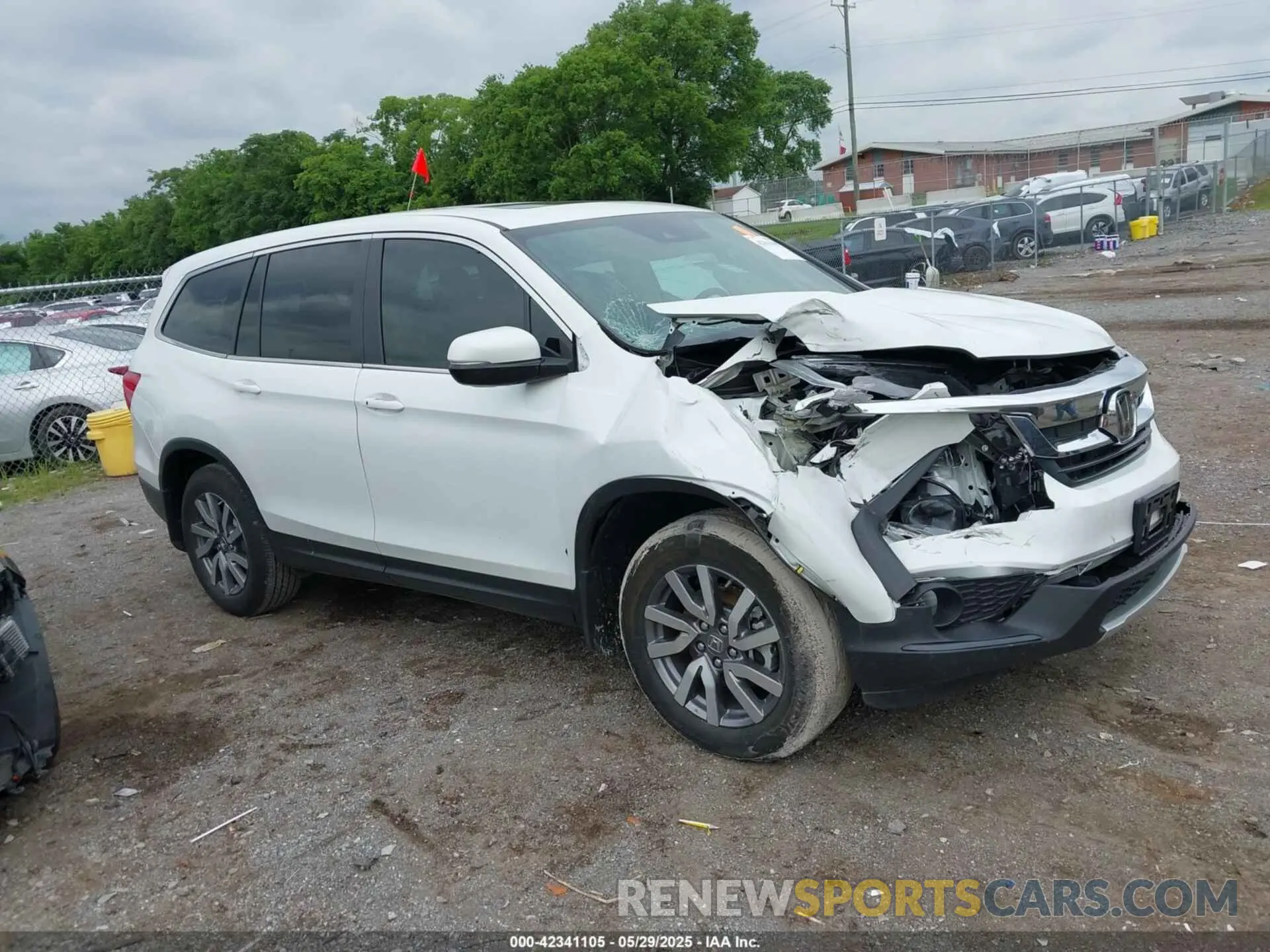 13 fotografías del automóvil dañado 5FNYF5H52NB003232 HONDA PILOT 2022